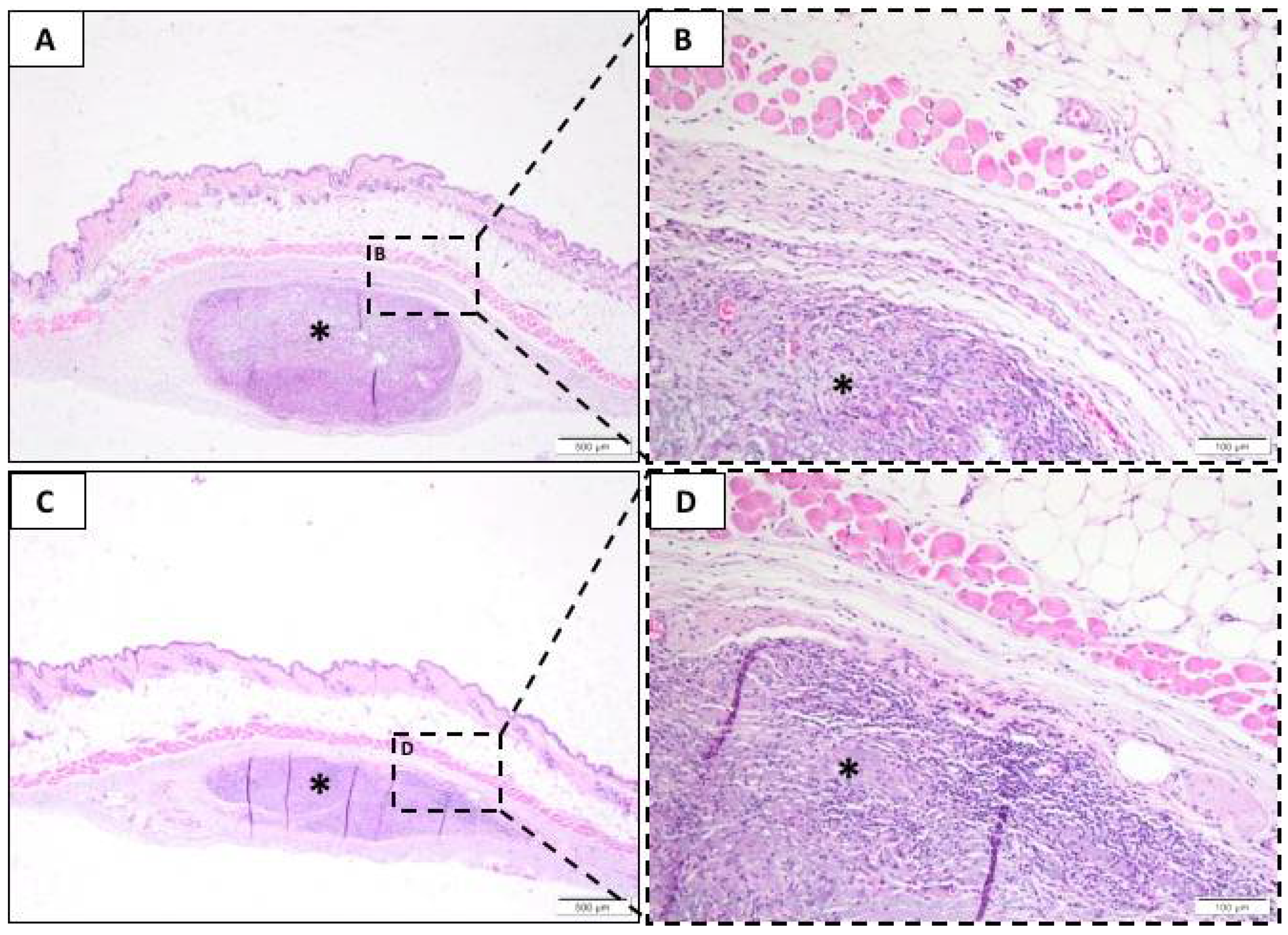 Membranes 10 00423 g004 Membranes 10 00423 g004