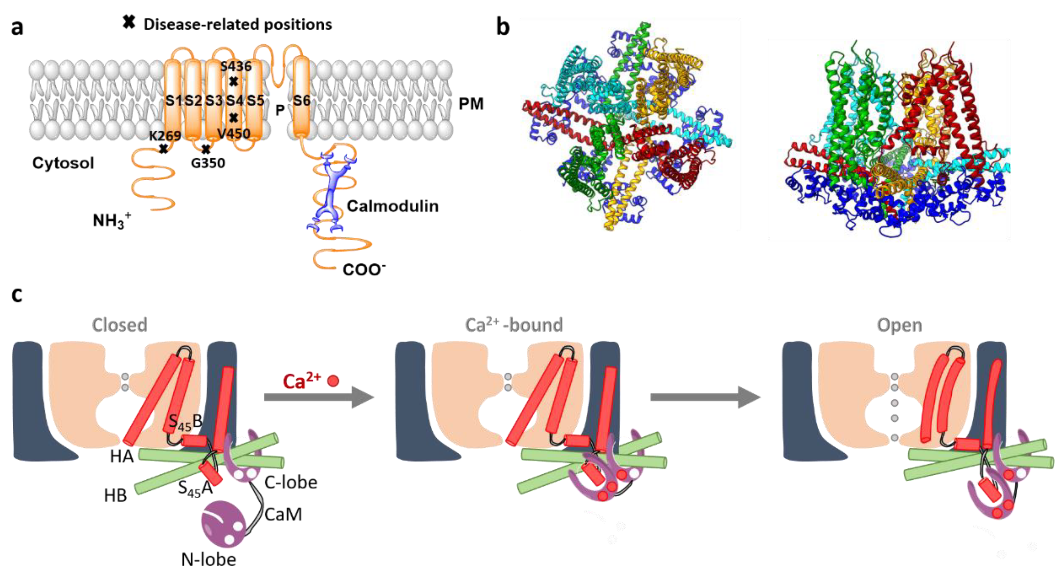 Membranes 10 00425 g007 Membranes 10 00425 g007