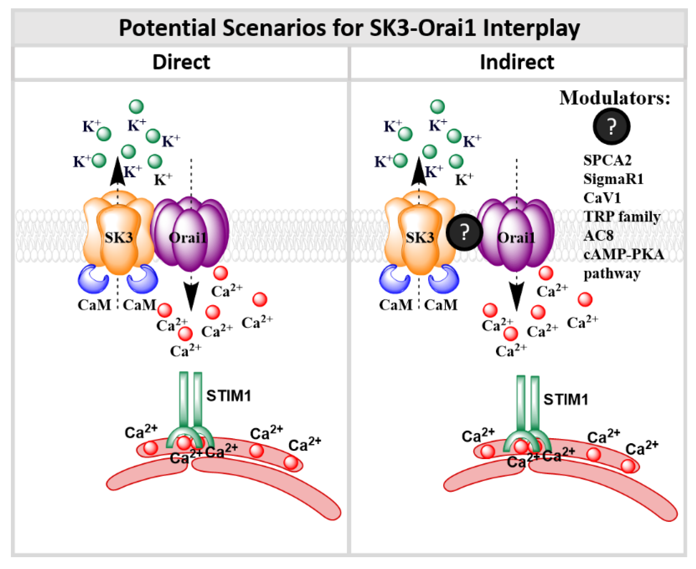 Membranes 10 00425 g010 Membranes 10 00425 g010
