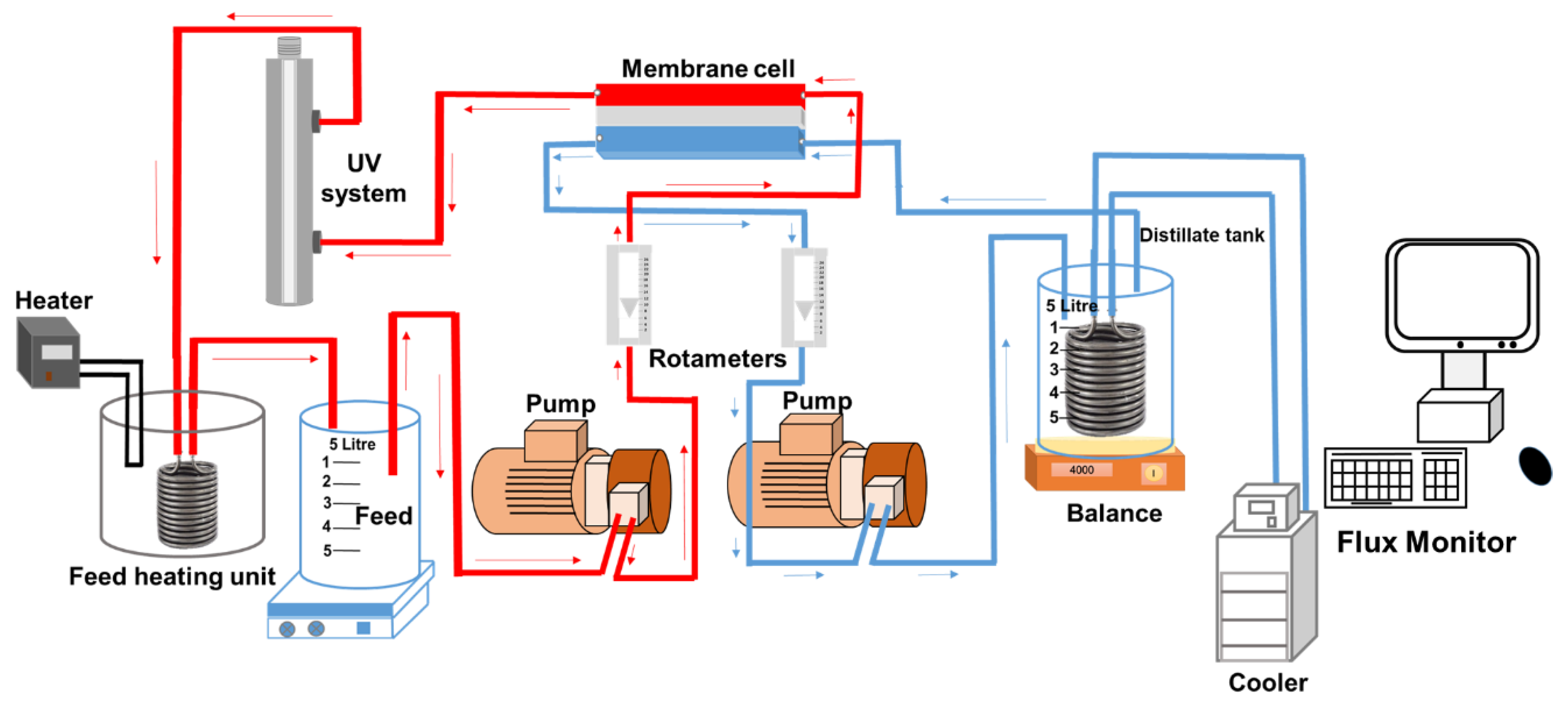 Membranes 10 00428 g001