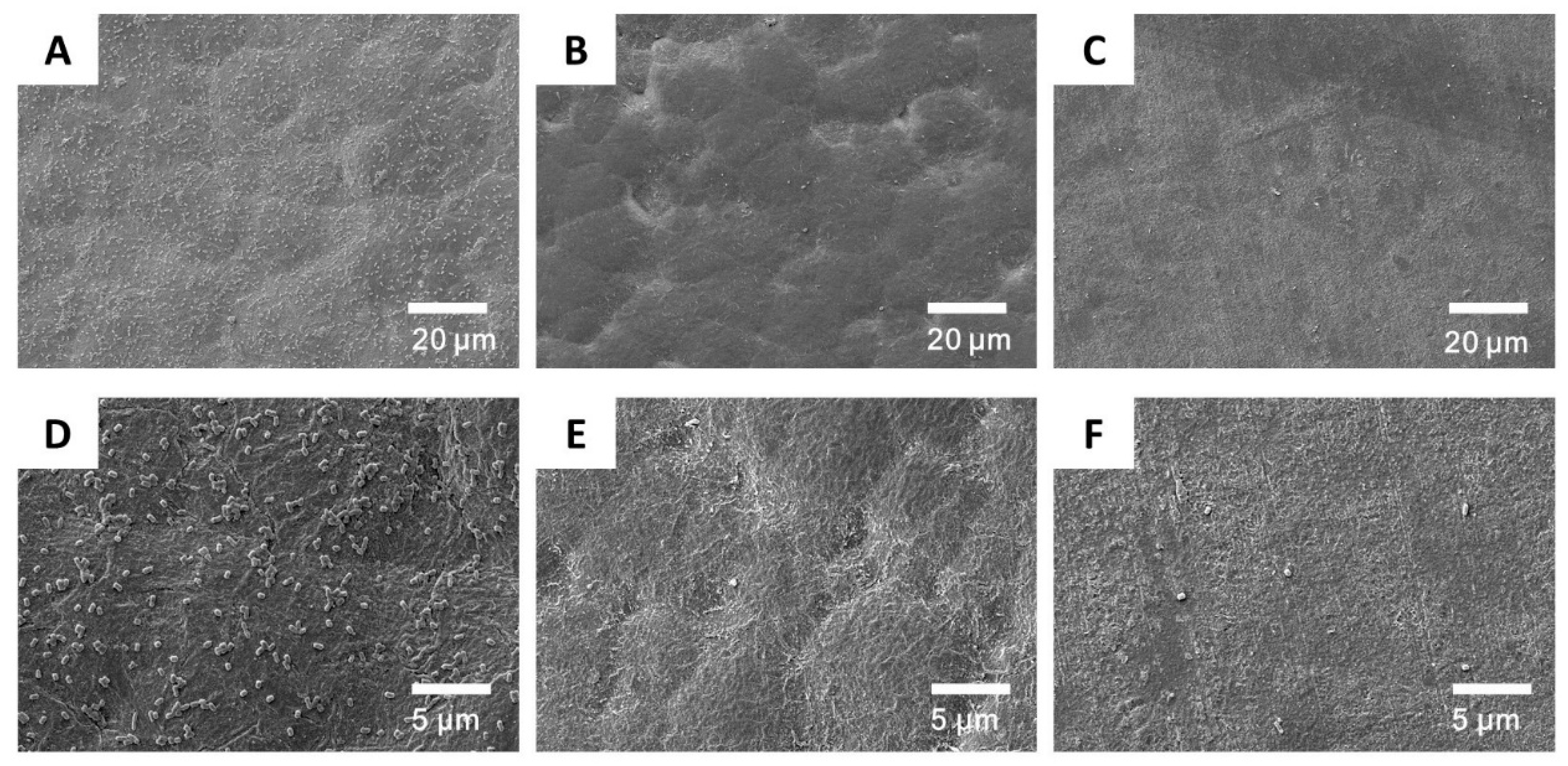 Membranes 10 00431 g008 Membranes 10 00431 g008