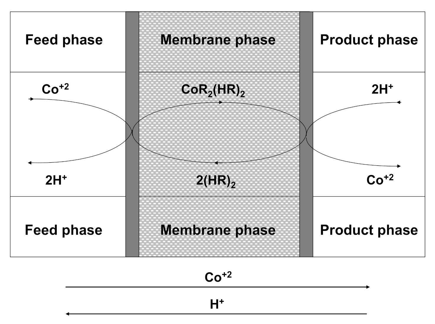 Membranes 10 00436 g001