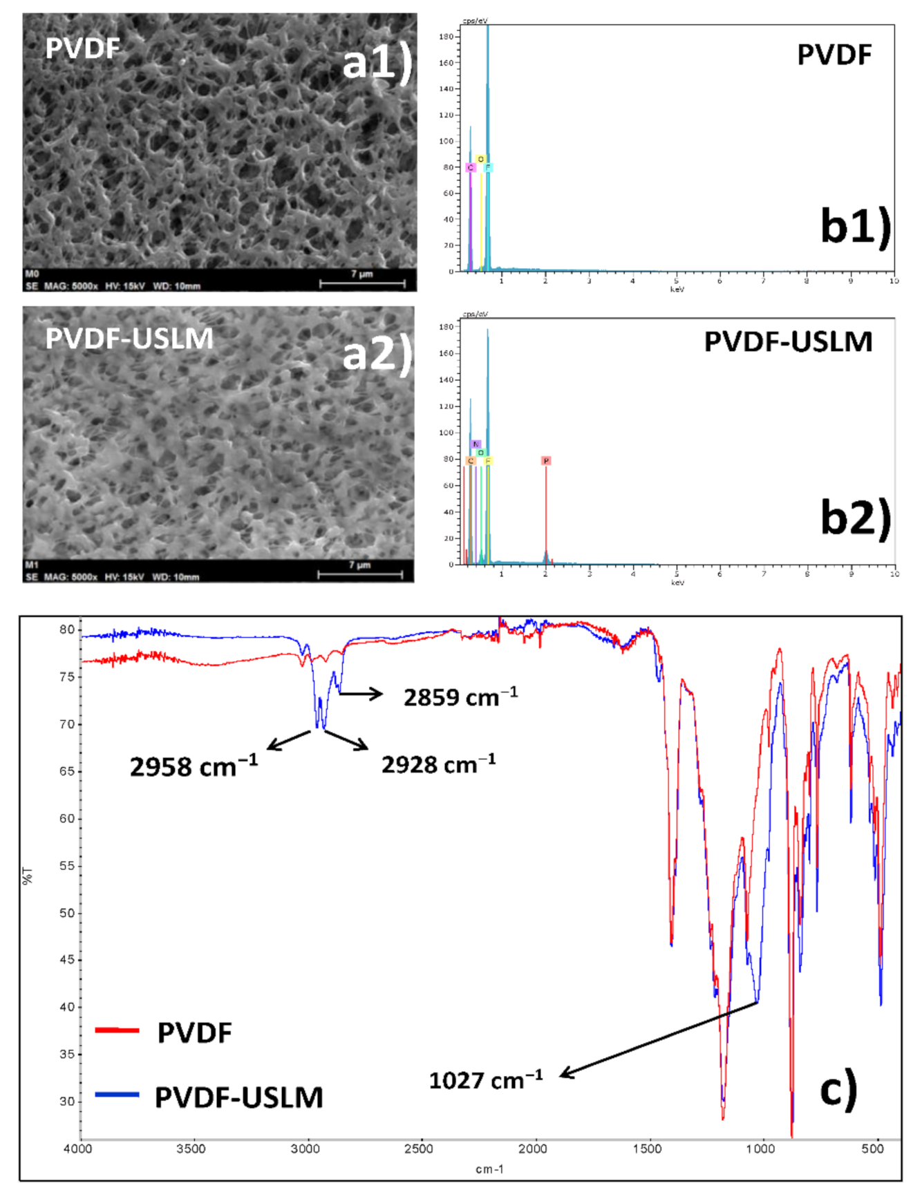 Membranes 10 00436 g003