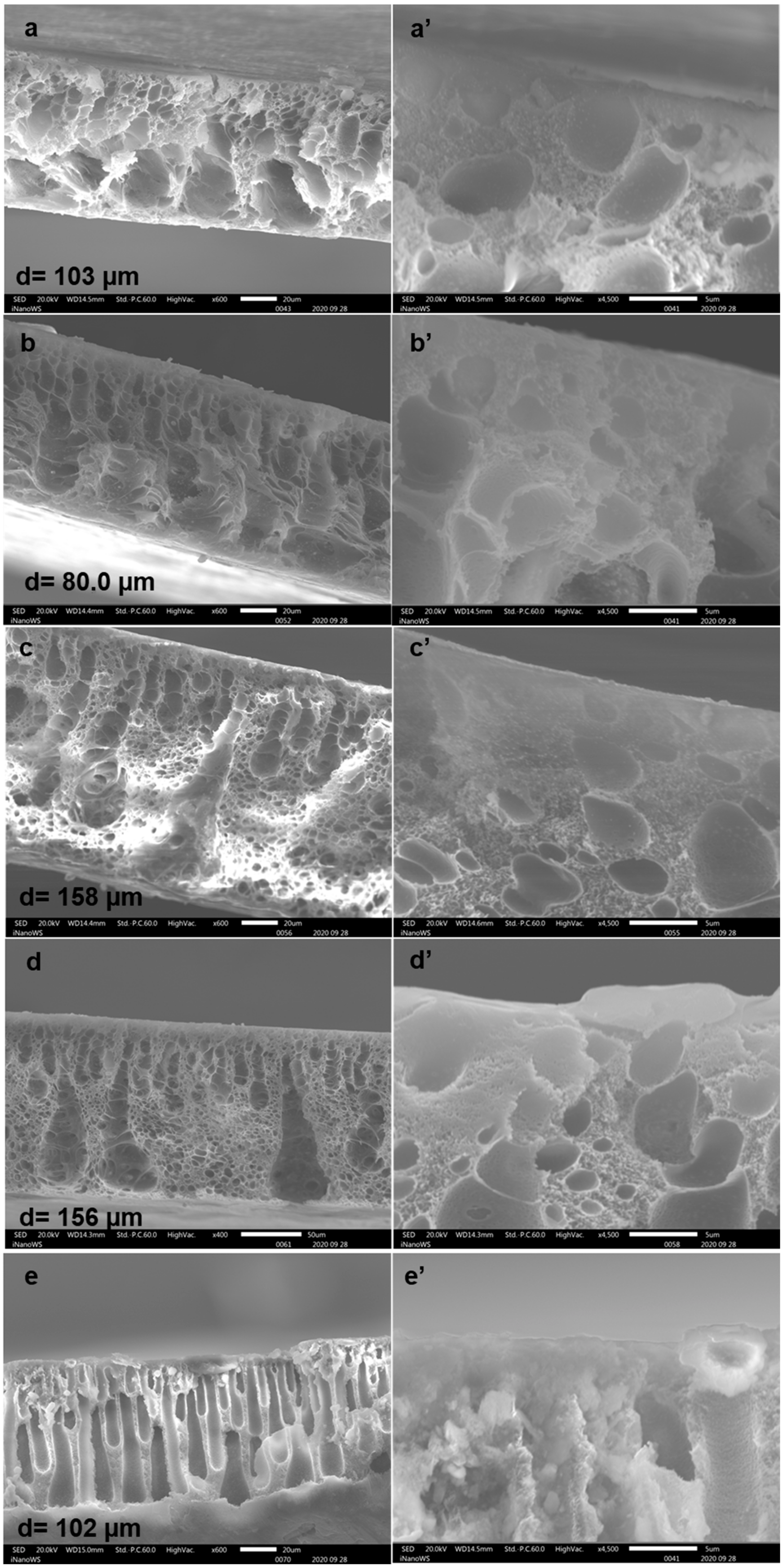 Membranes 10 00439 g003 Membranes 10 00439 g003
