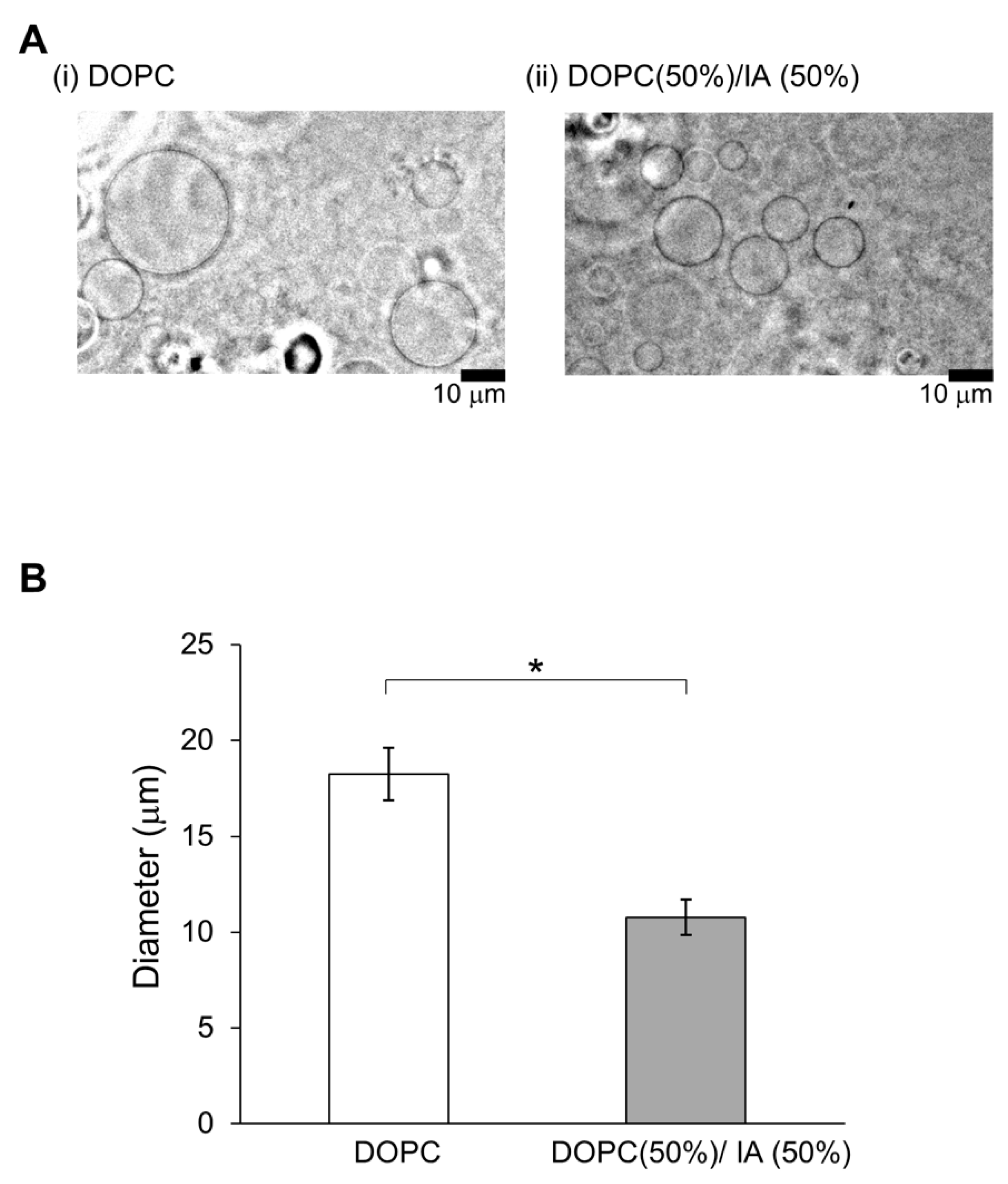 Membranes 10 00440 g004 Membranes 10 00440 g004