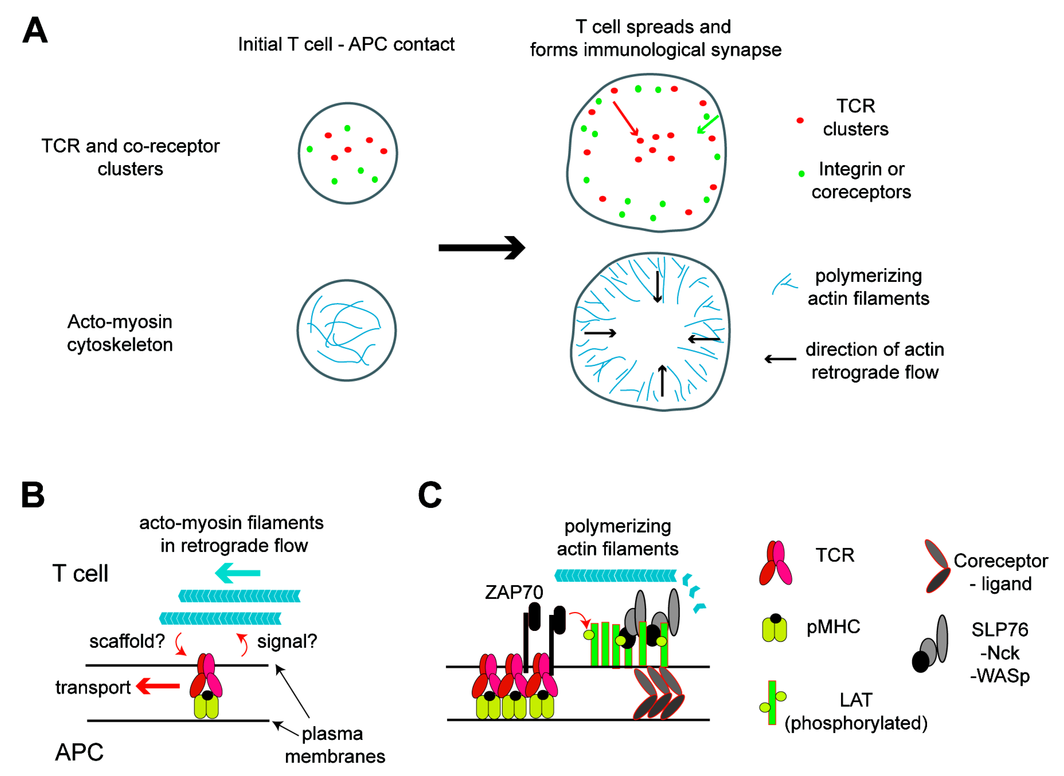 Membranes 10 00443 g001 Membranes 10 00443 g001