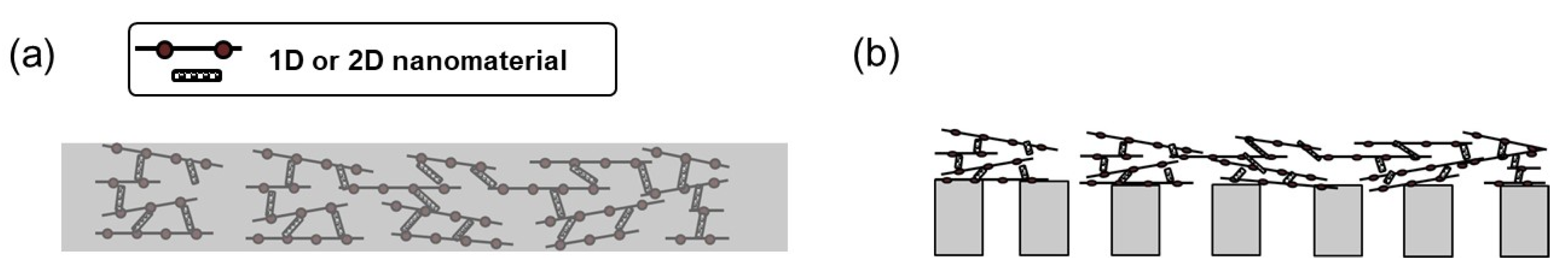 Membranes 11 00005 g003