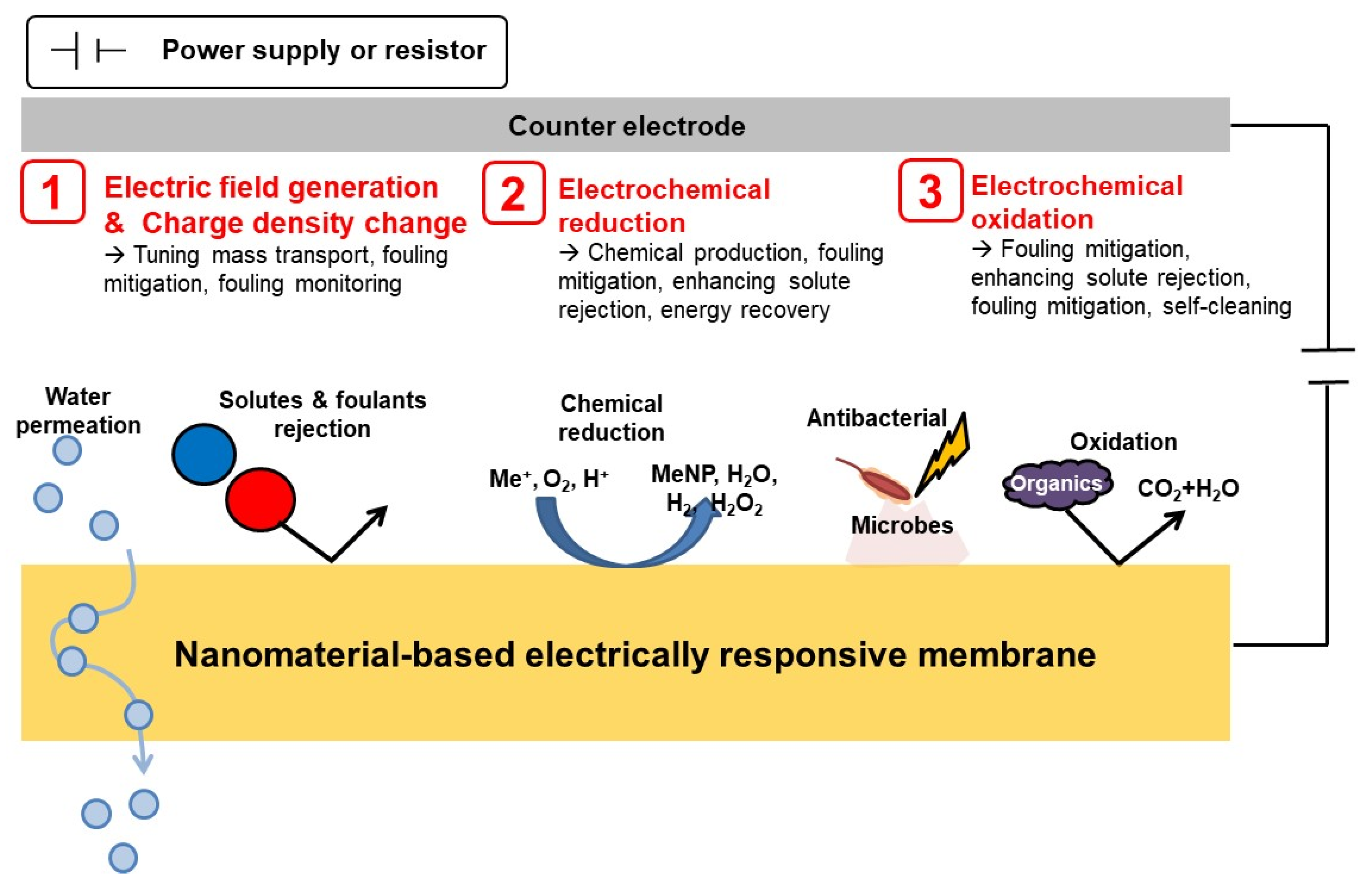 Membranes 11 00005 g004