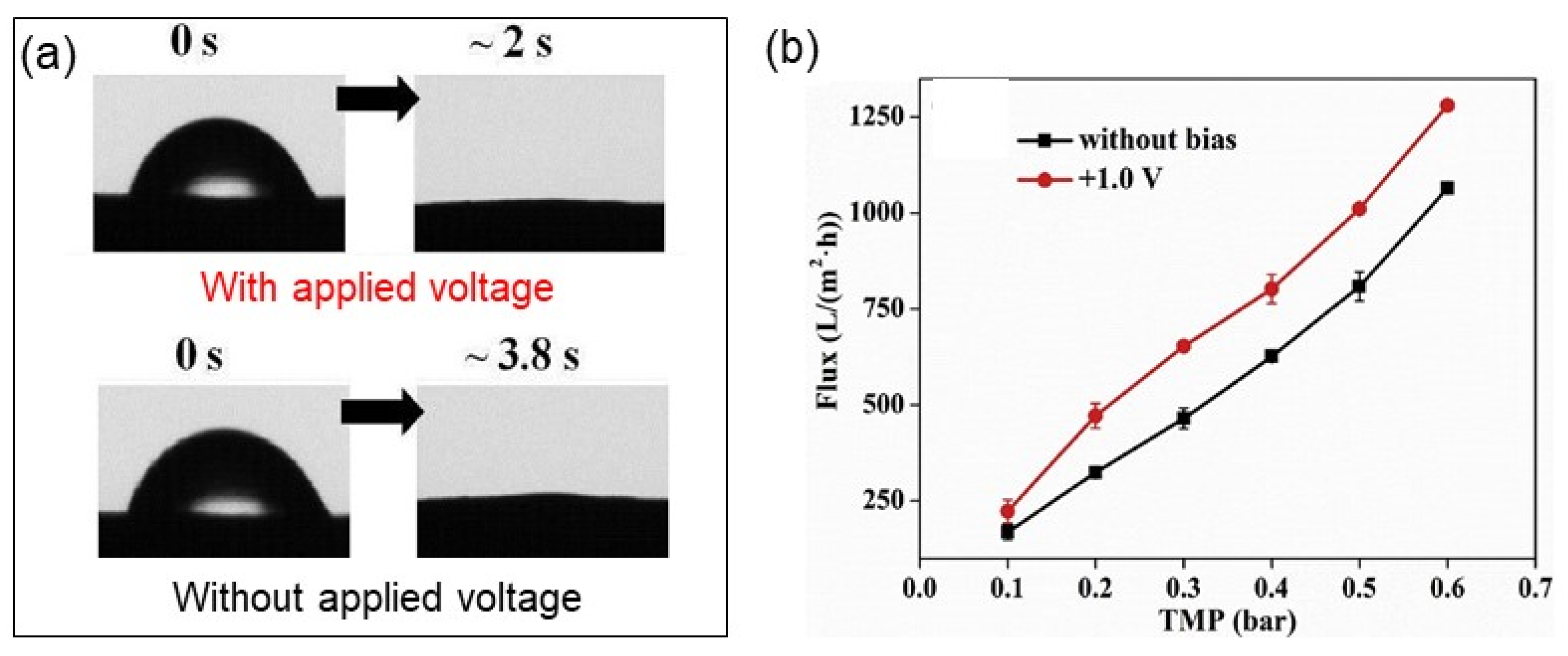 Membranes 11 00005 g009