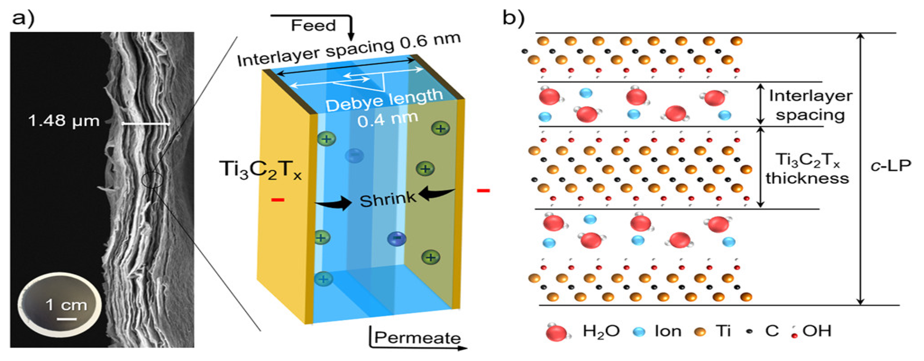 Membranes 11 00005 g010