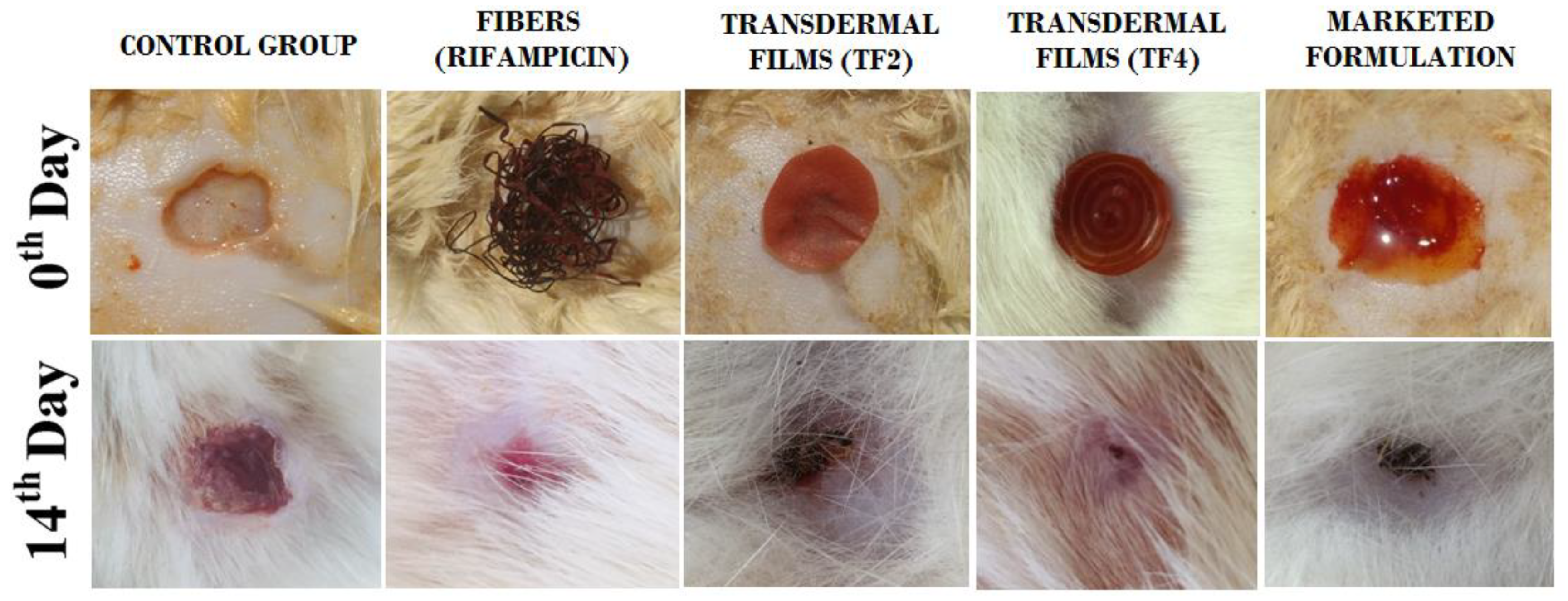 Membranes 11 00007 g008 Membranes 11 00007 g008