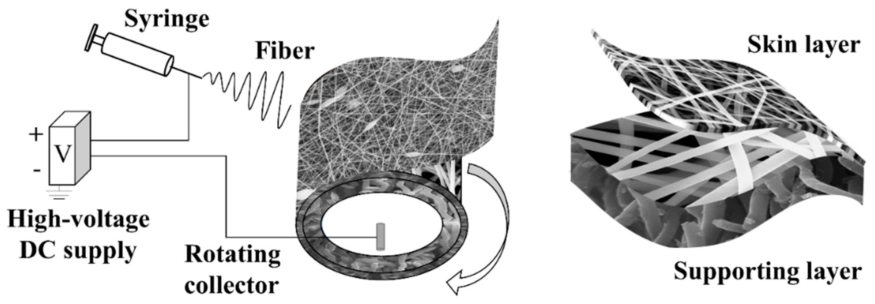 Membranes 11 00014 g001 Membranes 11 00014 g001