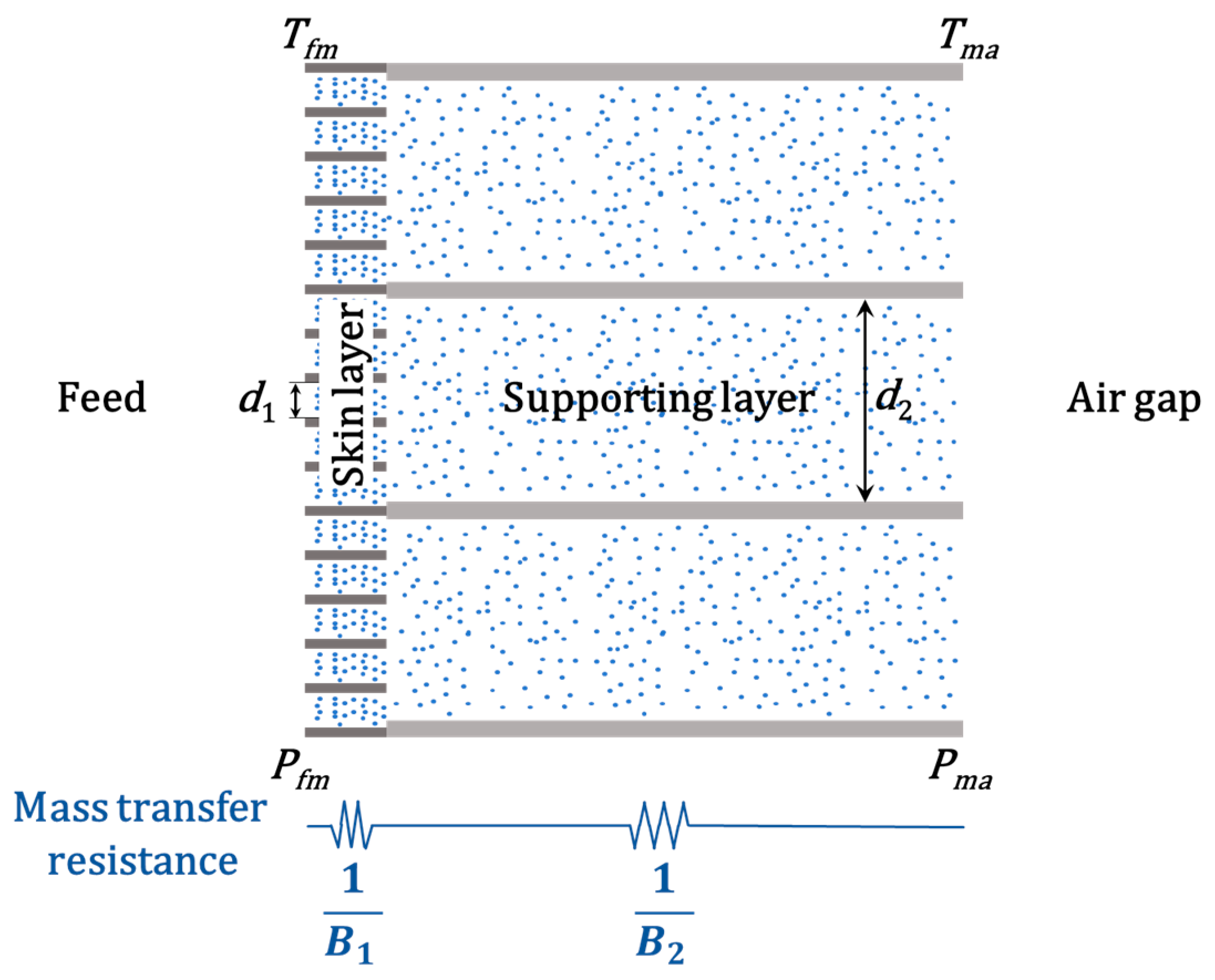 Membranes 11 00014 g003 Membranes 11 00014 g003