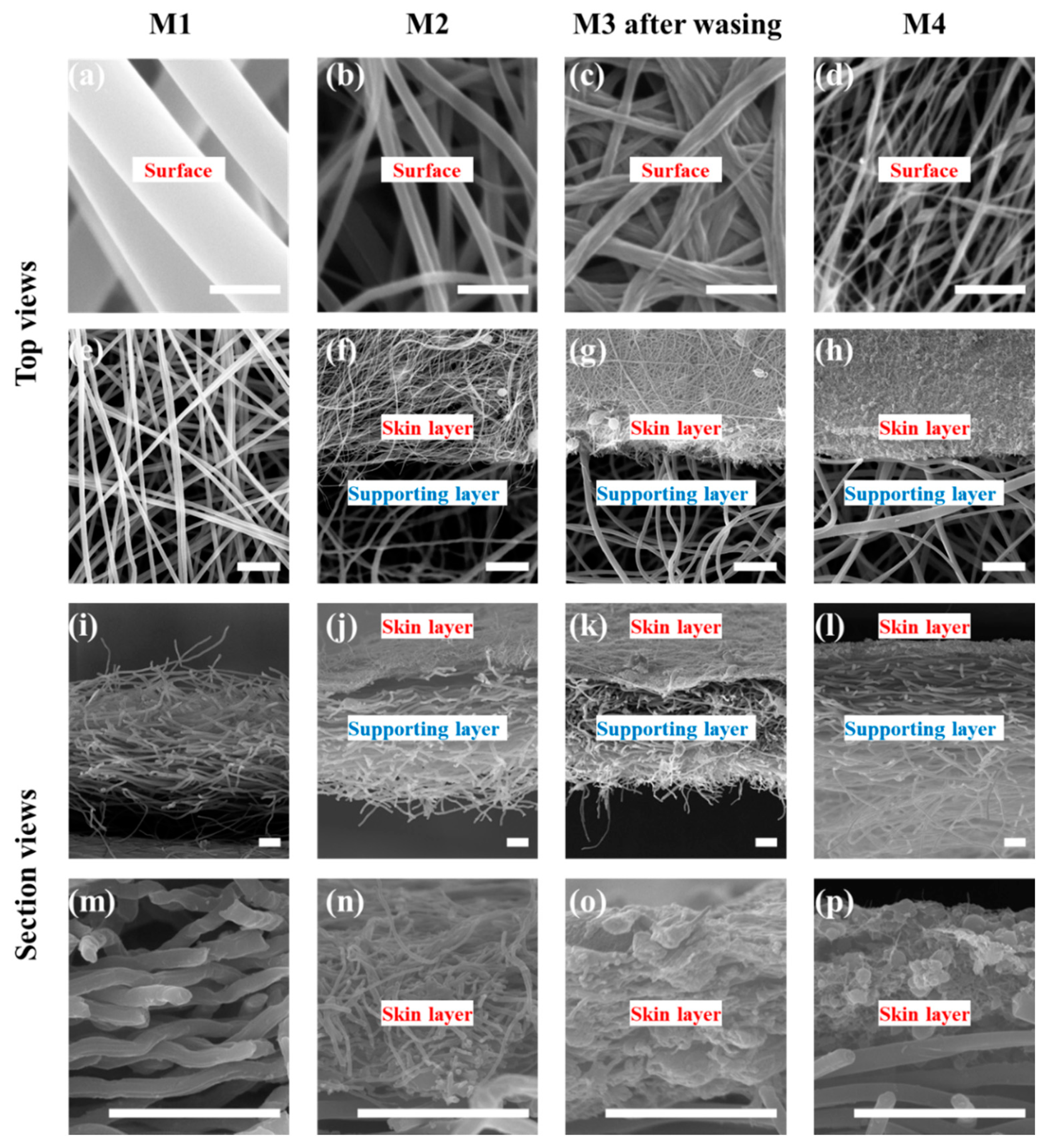 Membranes 11 00014 g004 Membranes 11 00014 g004