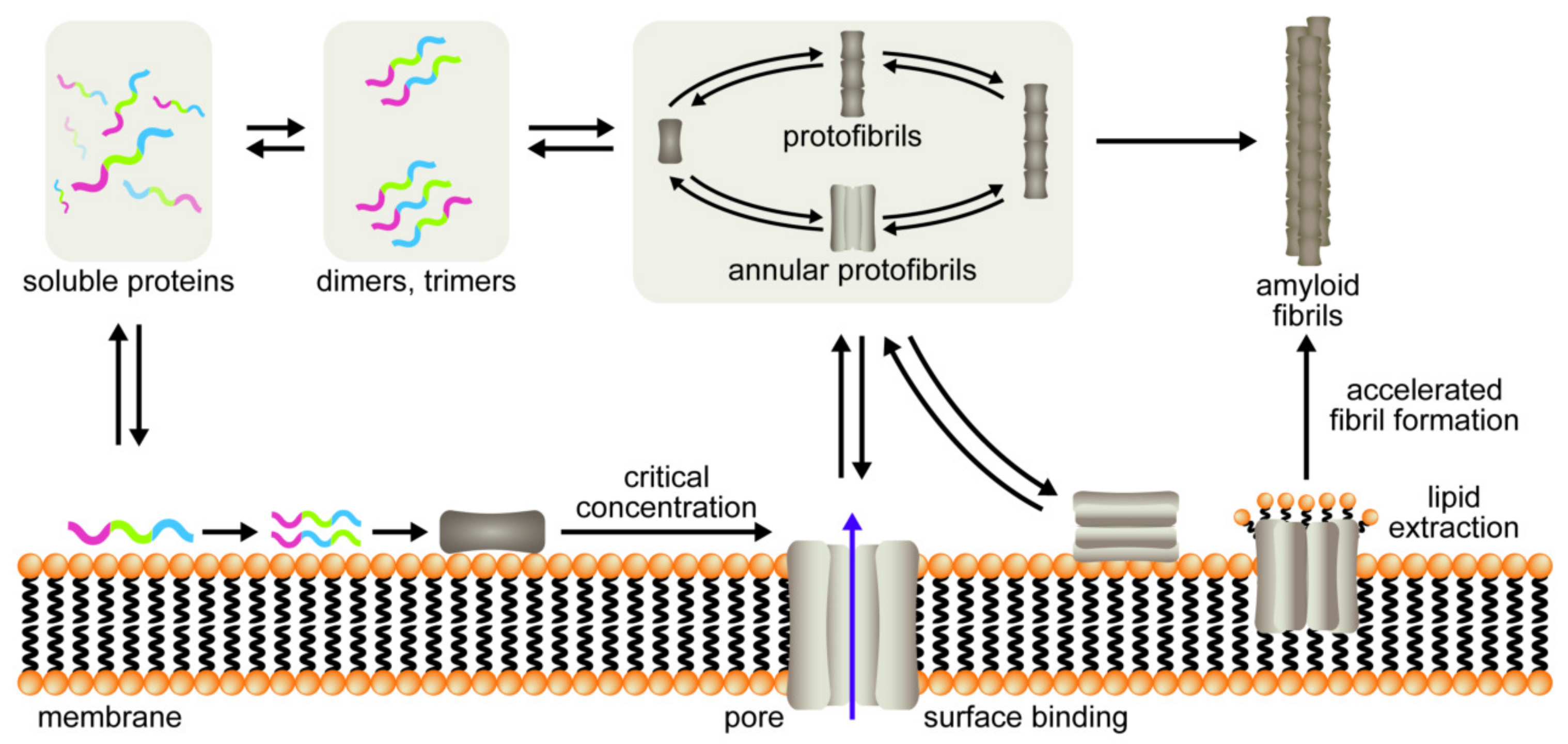 Membranes 11 00017 g001 Membranes 11 00017 g001