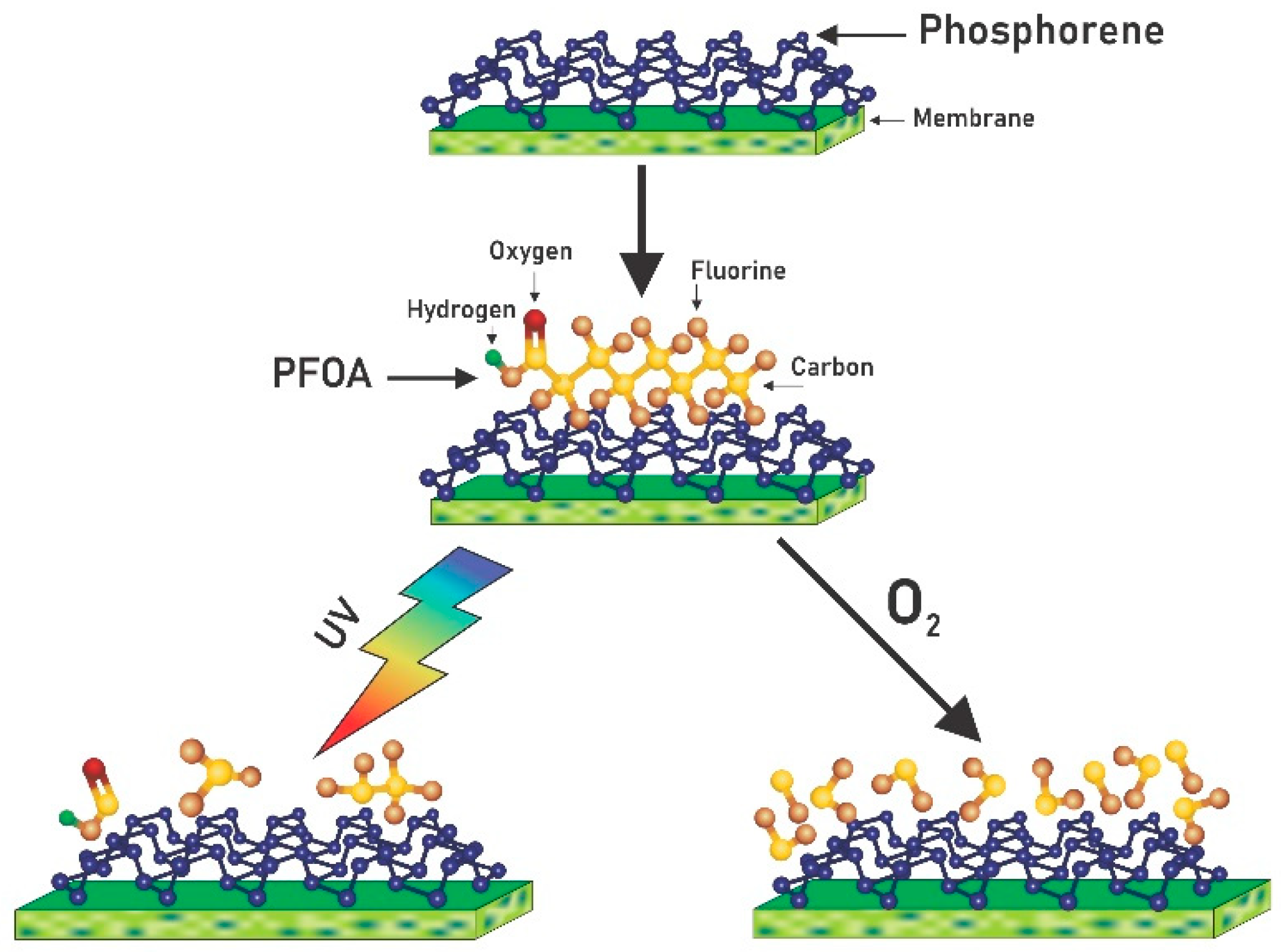 Membranes 11 00018 g001 Membranes 11 00018 g001