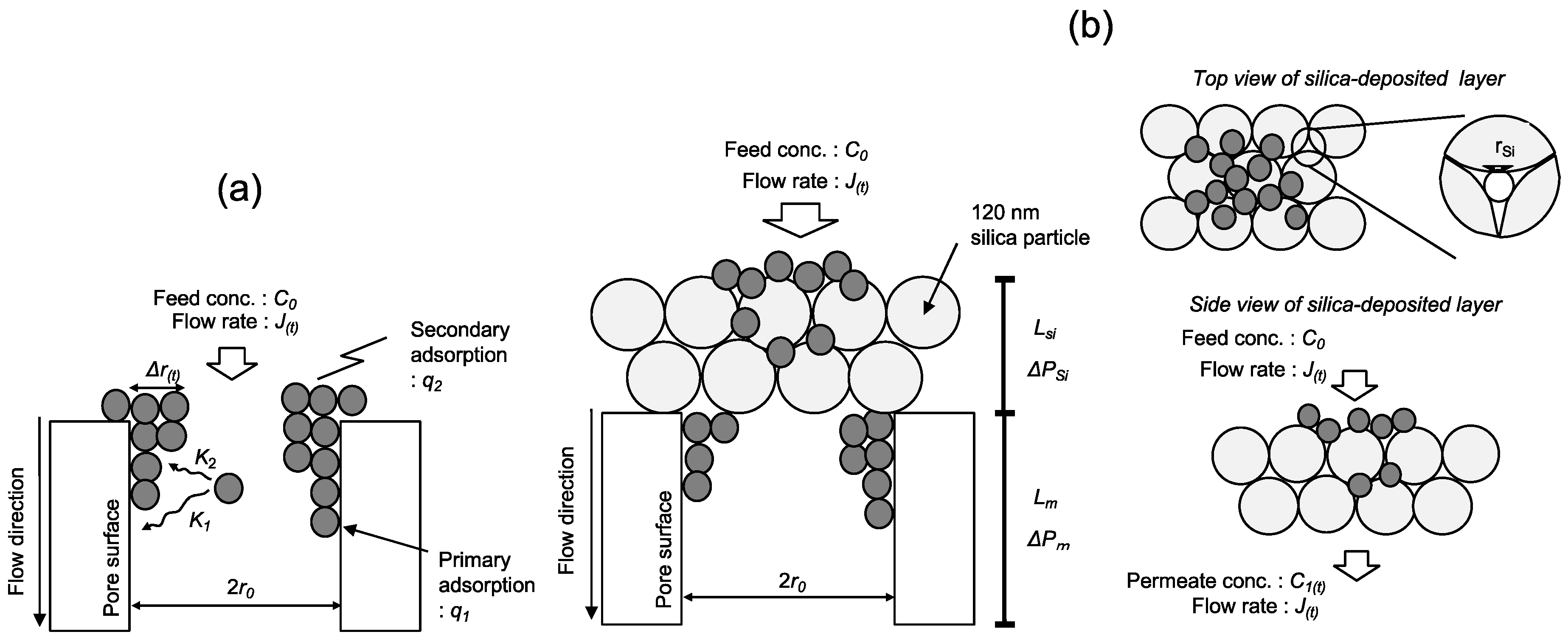 Membranes 11 00022 g001 Membranes 11 00022 g001