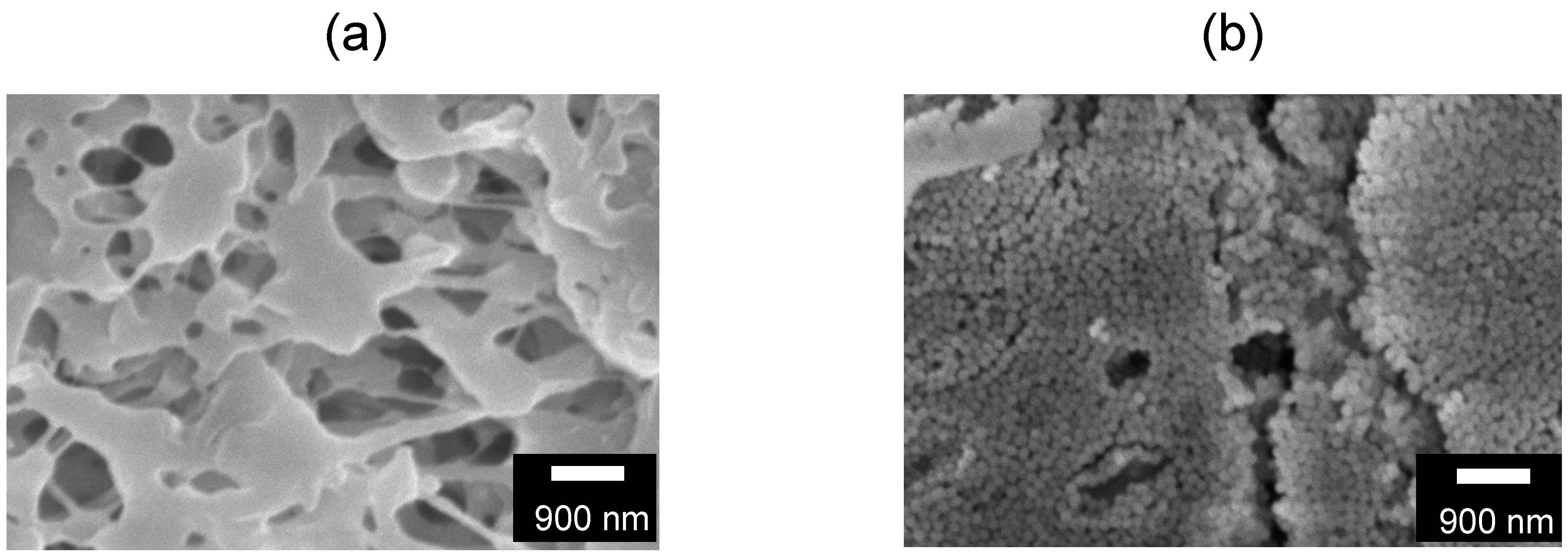 Membranes 11 00022 g002 Membranes 11 00022 g002