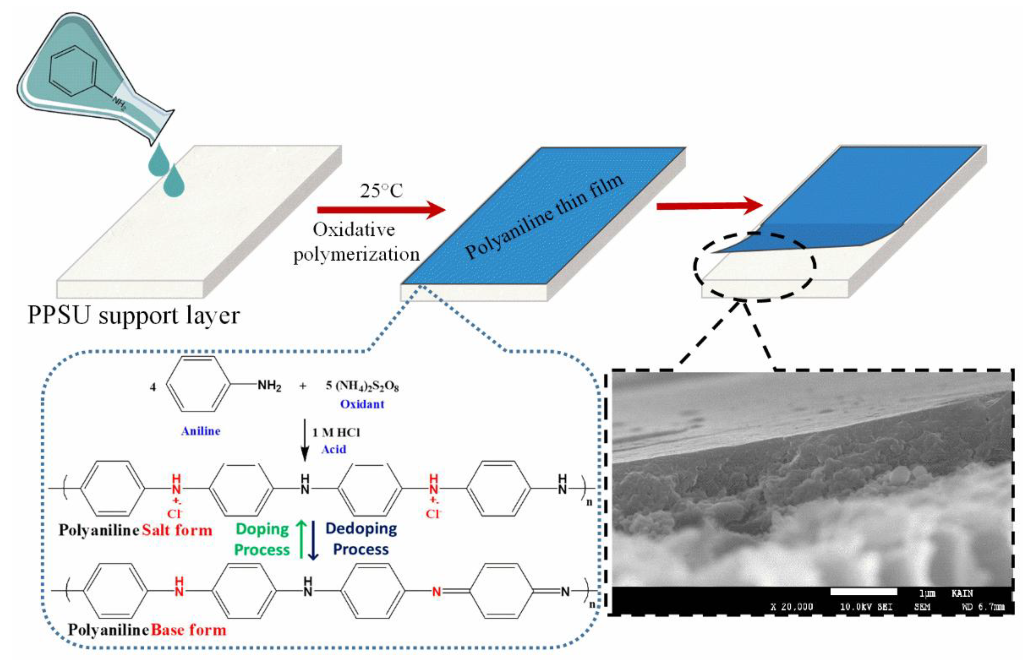 Membranes 11 00025 g001