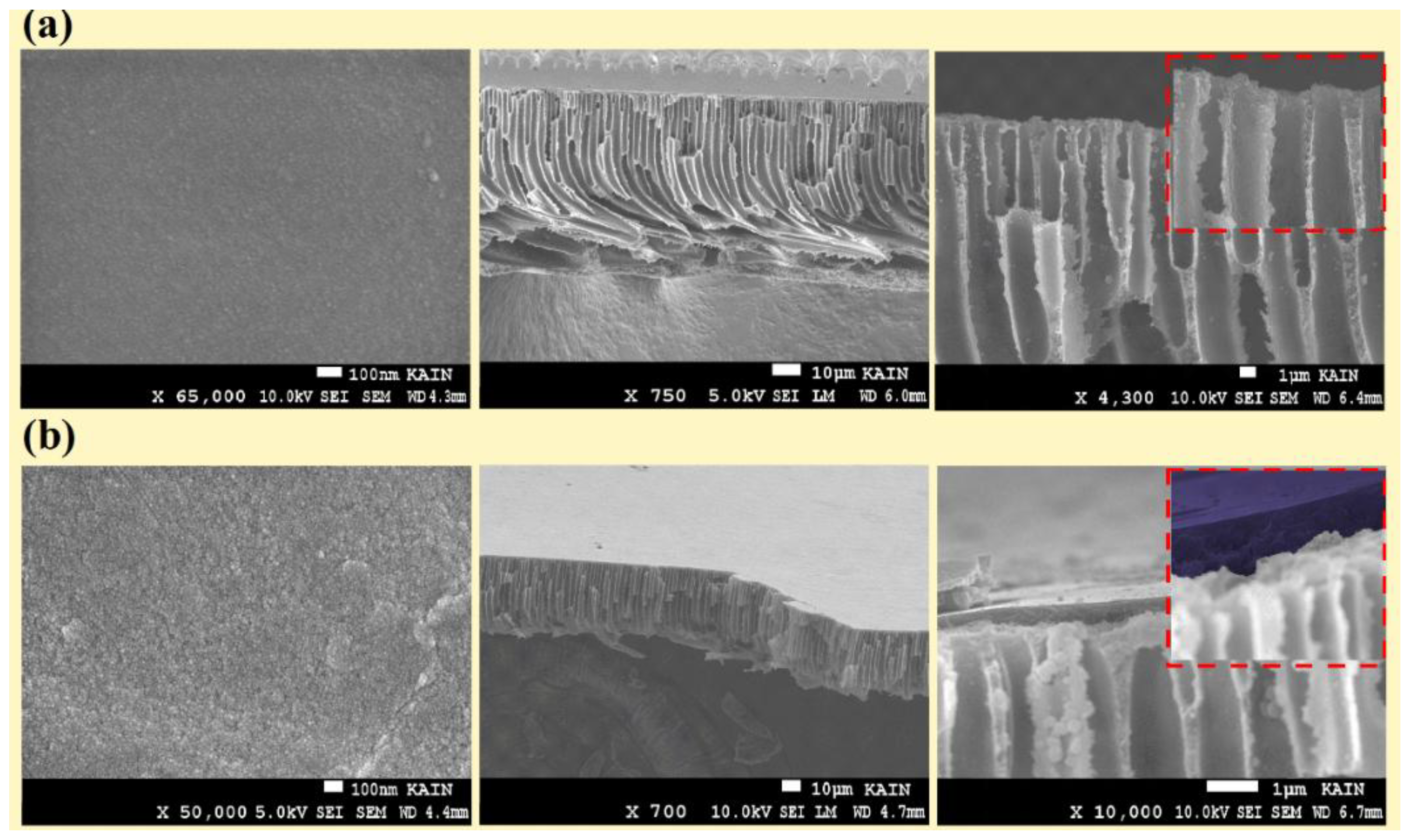 Membranes 11 00025 g002