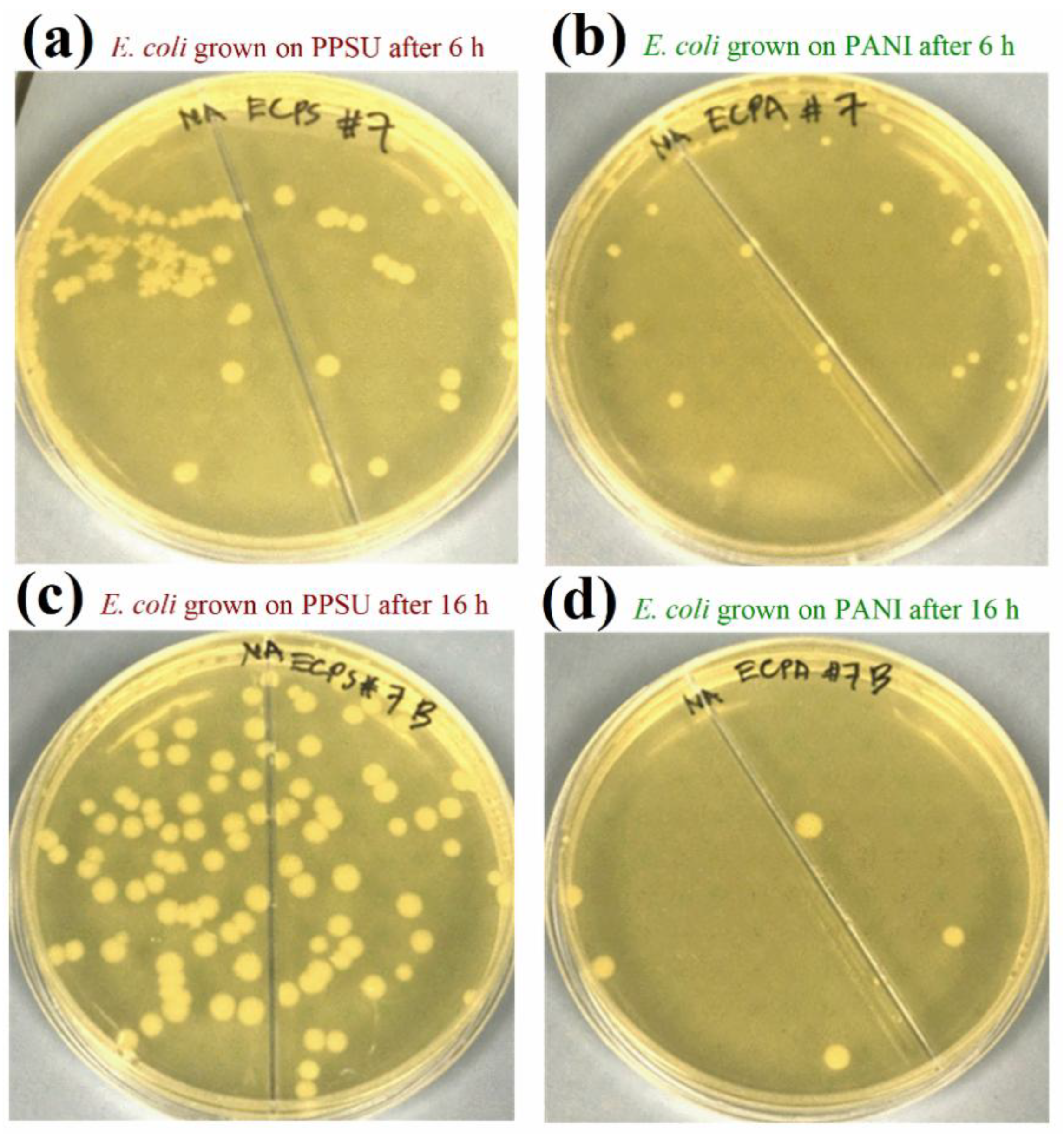 Membranes 11 00025 g009