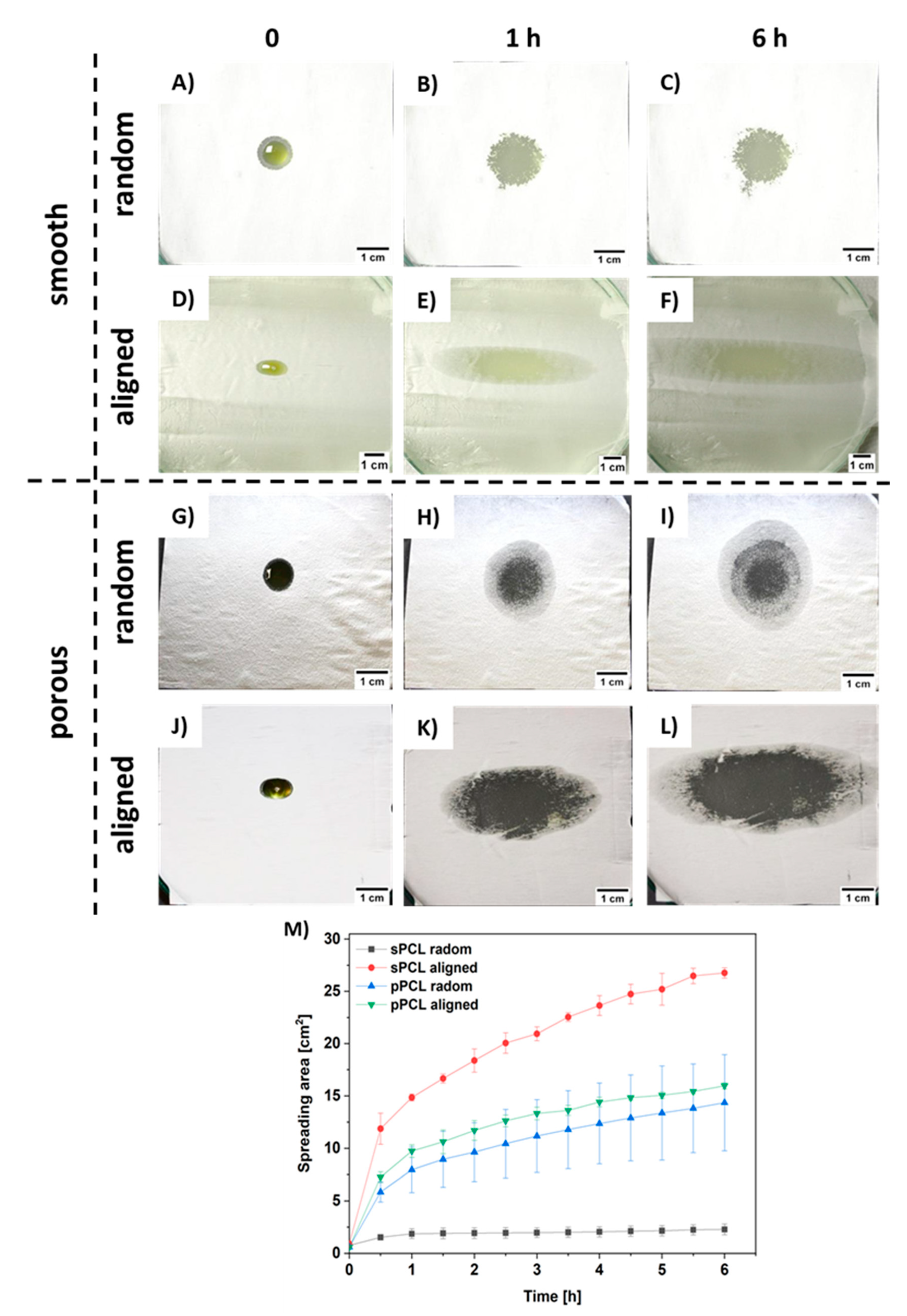 Membranes 11 00026 g005 Membranes 11 00026 g005