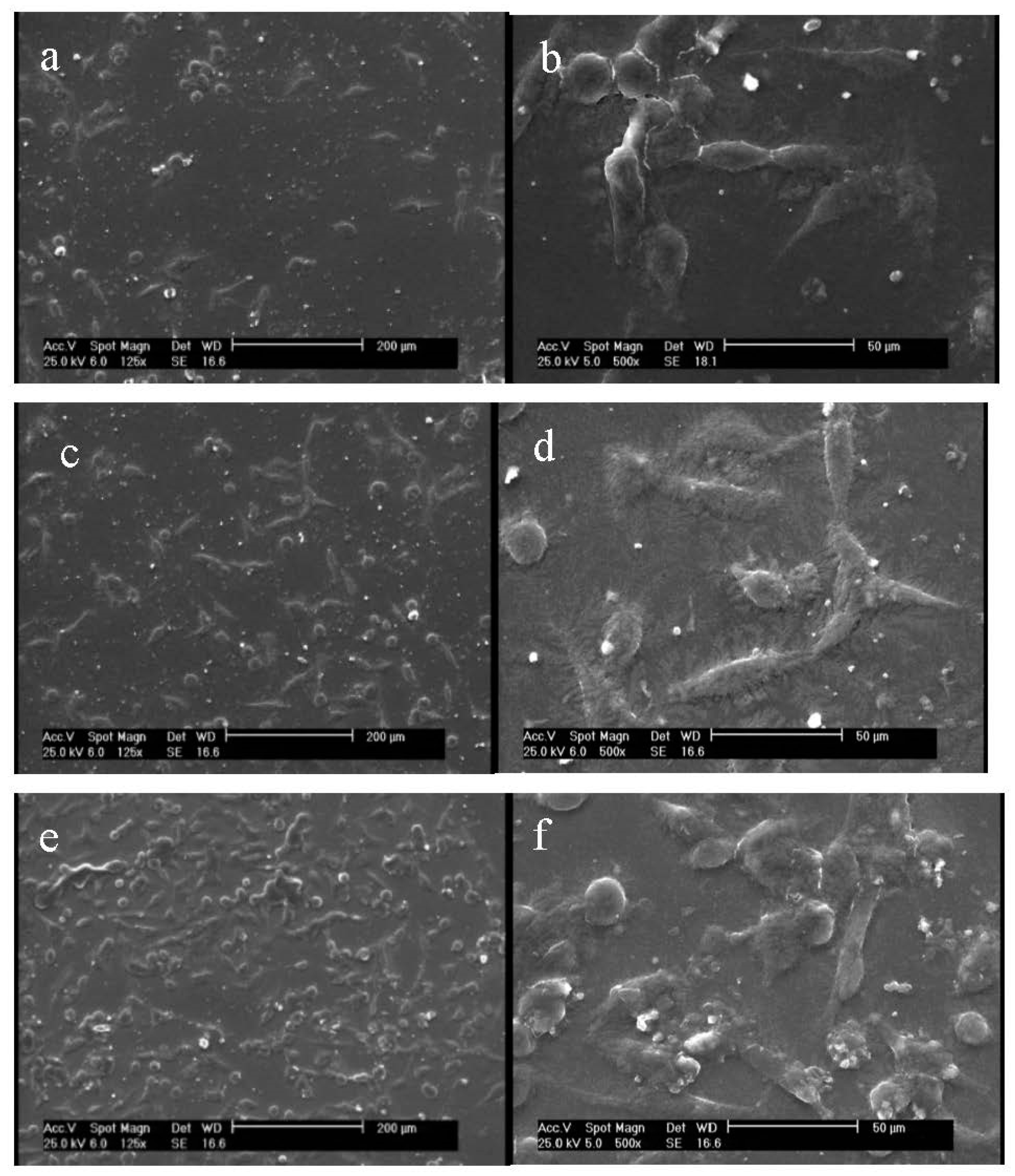 Membranes 11 00031 g005 Membranes 11 00031 g005