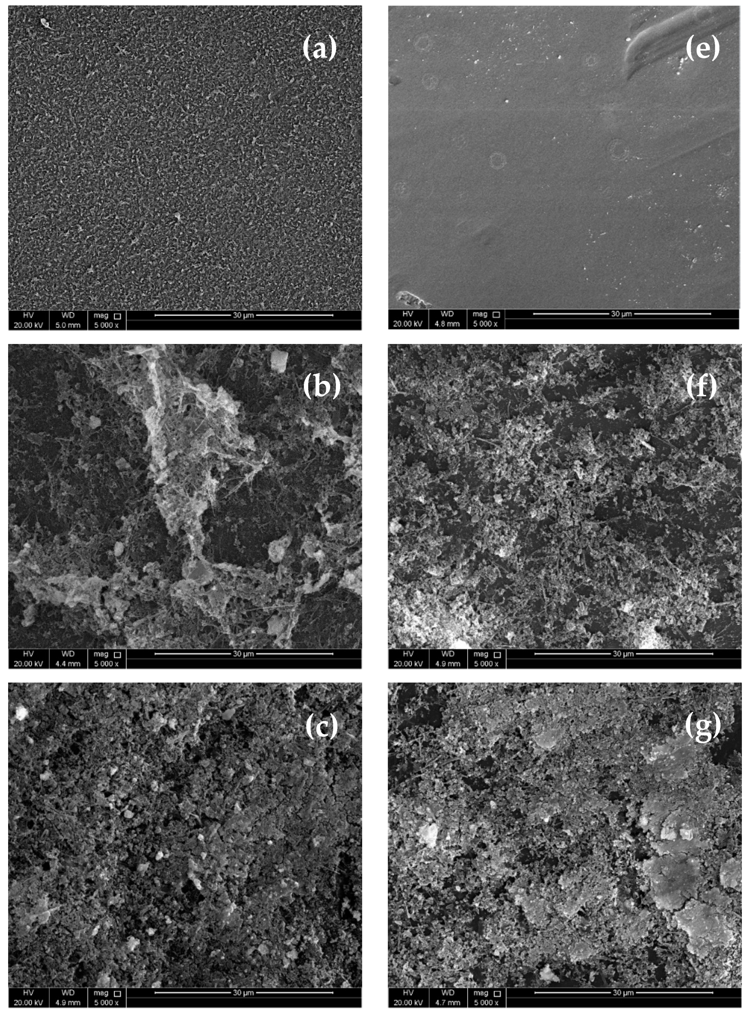 Membranes 11 00032 g004a