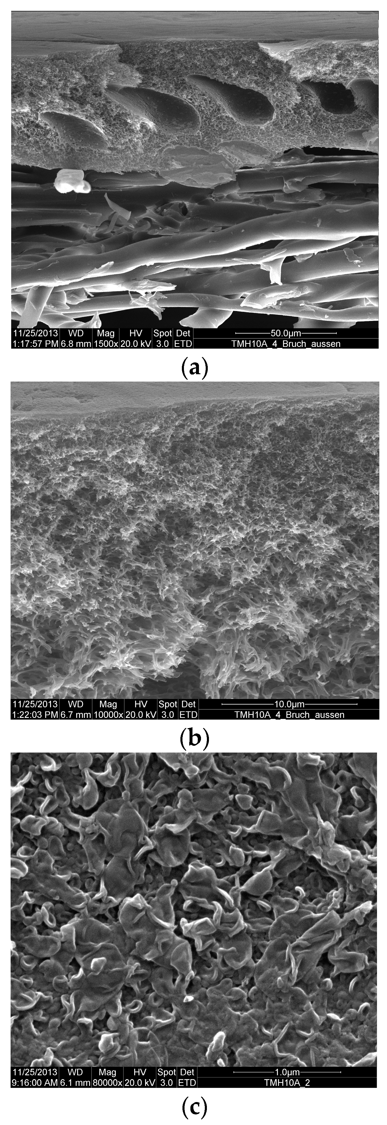 Membranes 11 00033 g001 Membranes 11 00033 g001