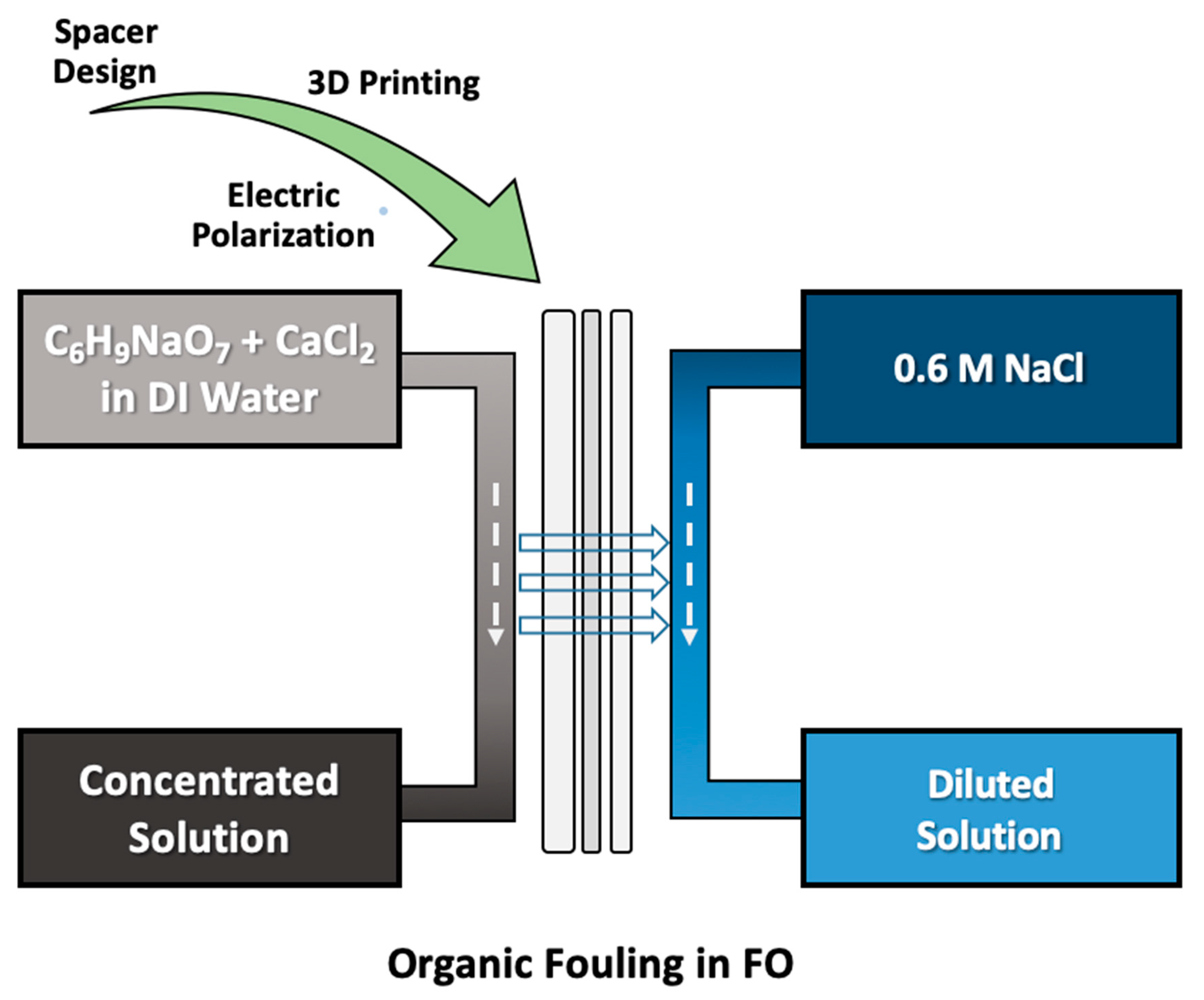 Membranes 11 00036 g002 Membranes 11 00036 g002
