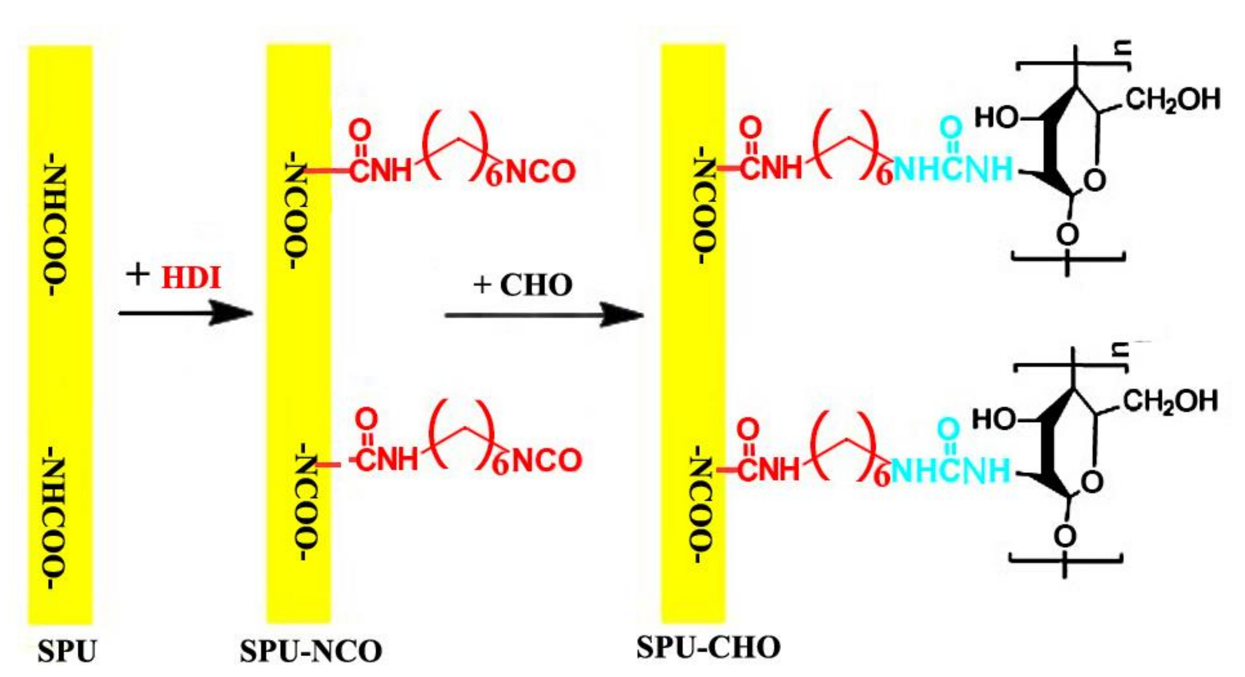 Membranes 11 00037 g001