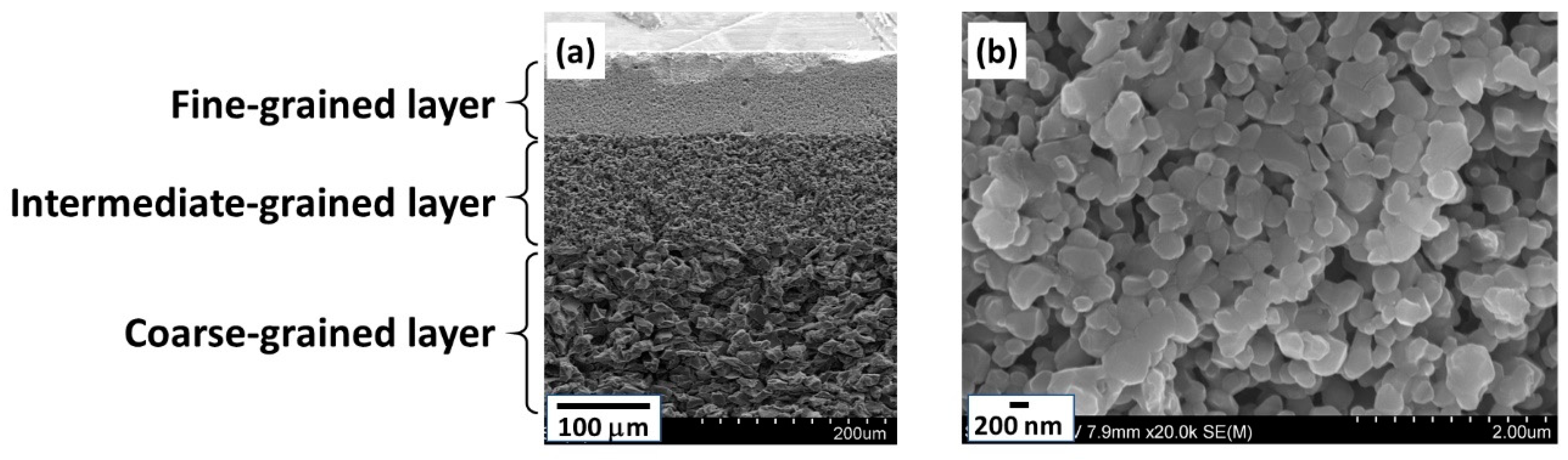 Membranes 11 00038 g003 Membranes 11 00038 g003