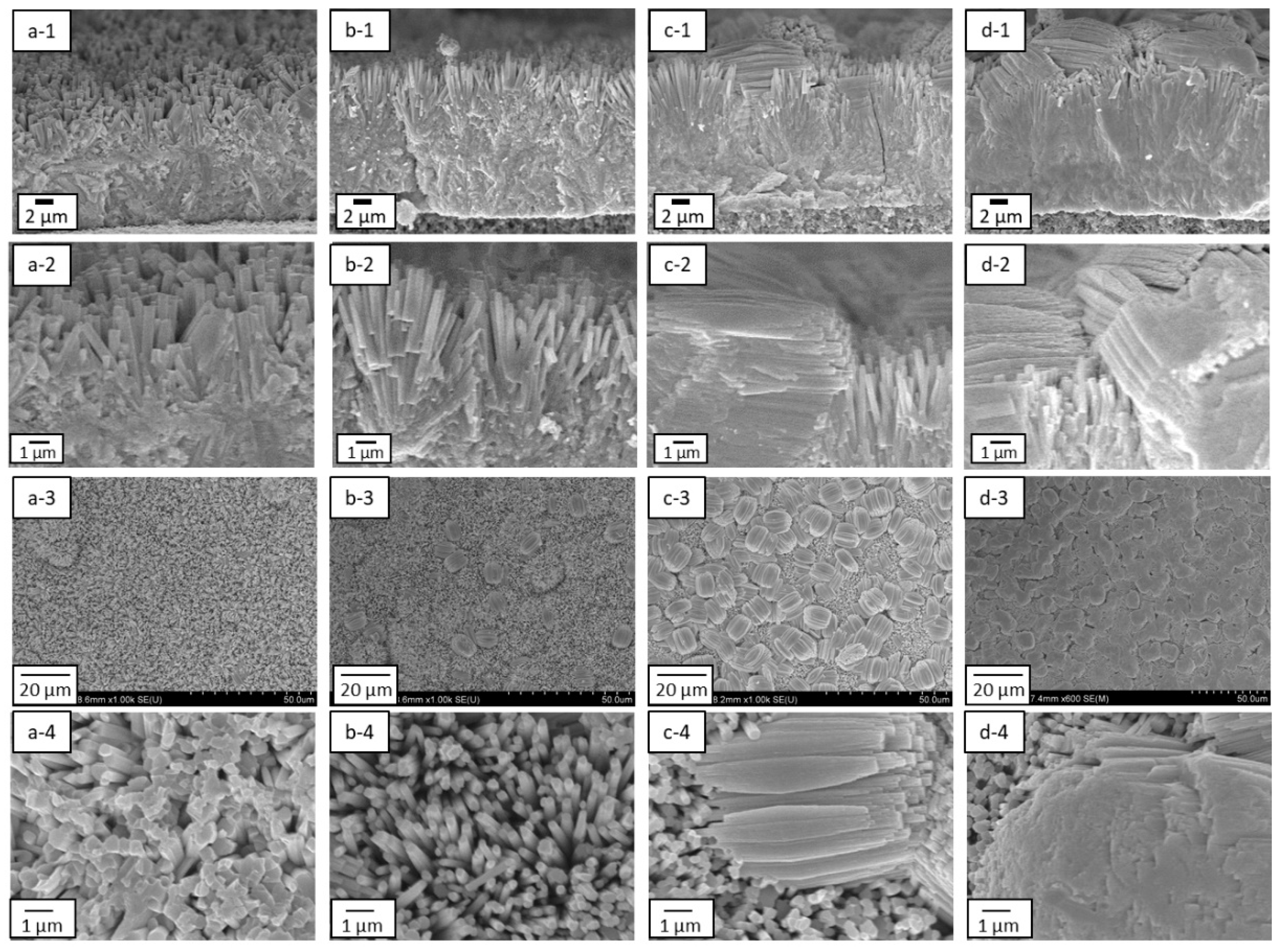 Membranes 11 00038 g010 Membranes 11 00038 g010