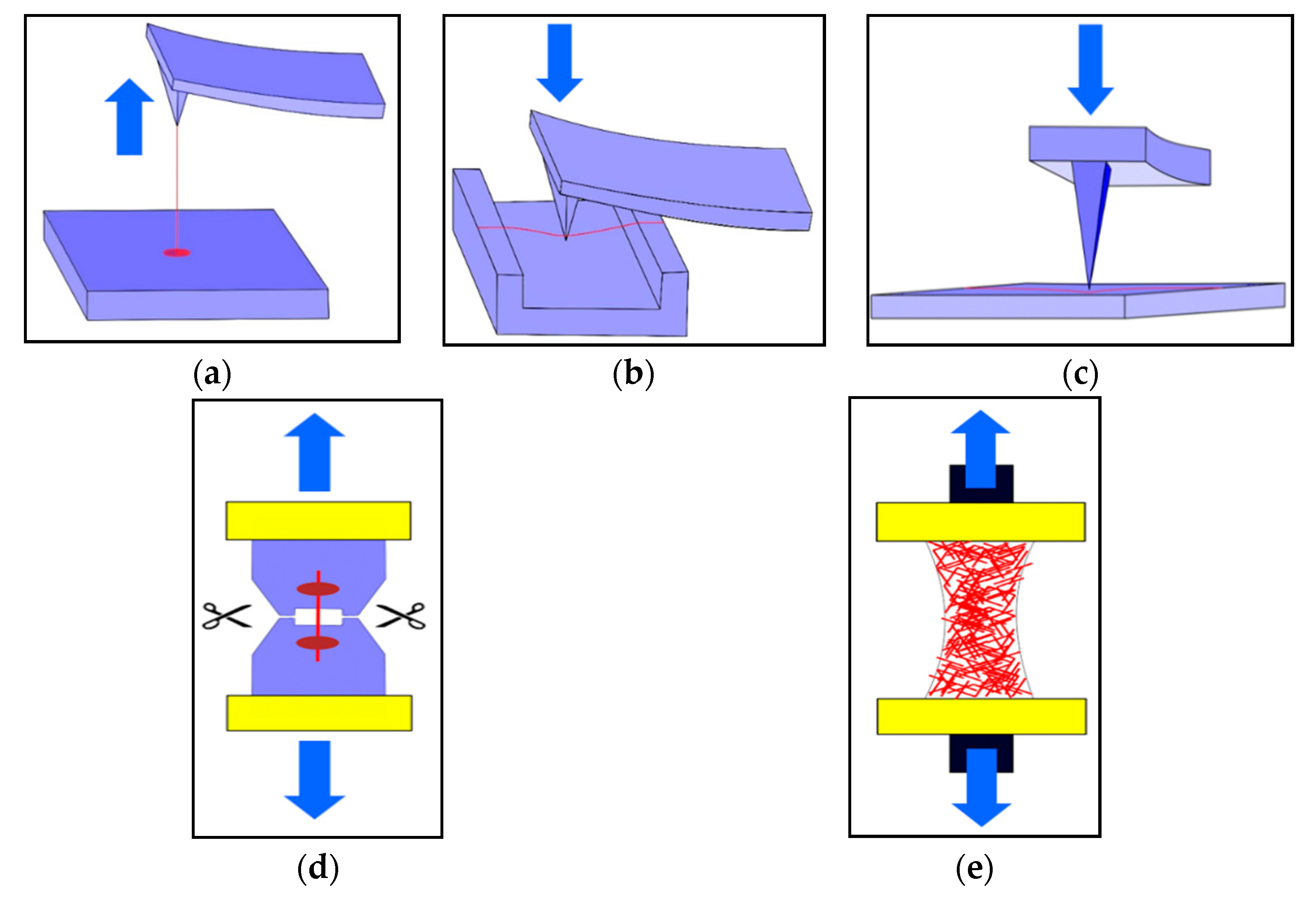 Membranes 11 00039 g003