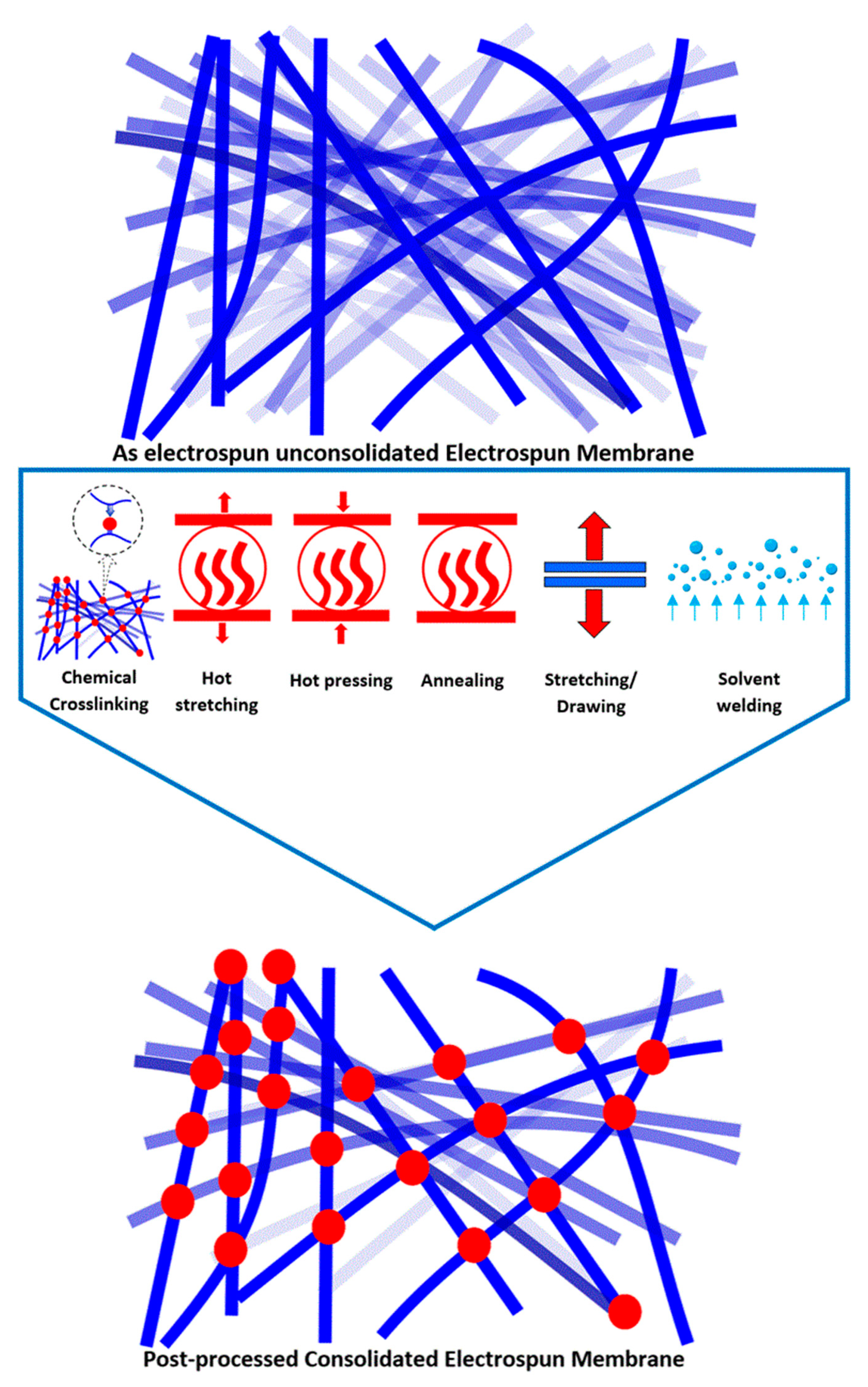 Membranes 11 00039 g004