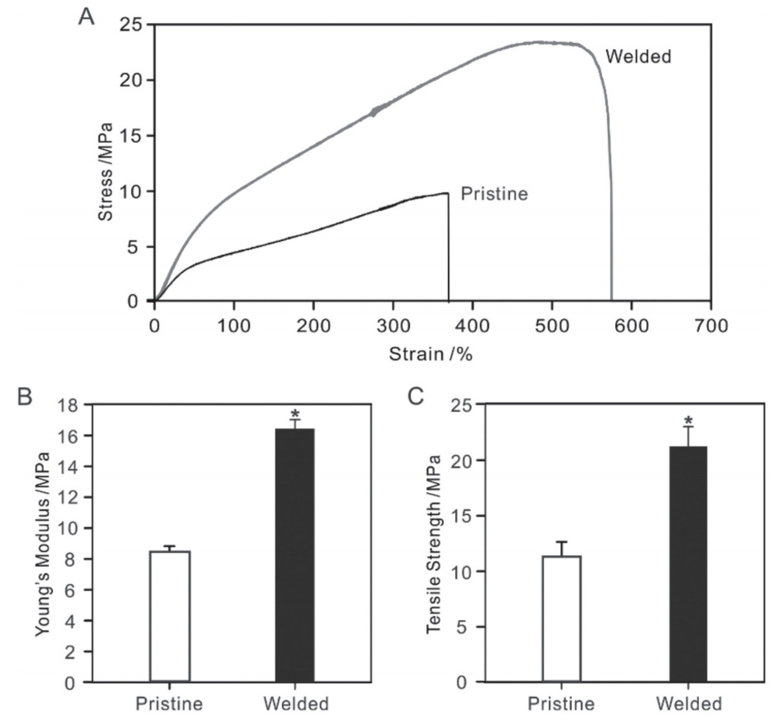 Membranes 11 00039 g009
