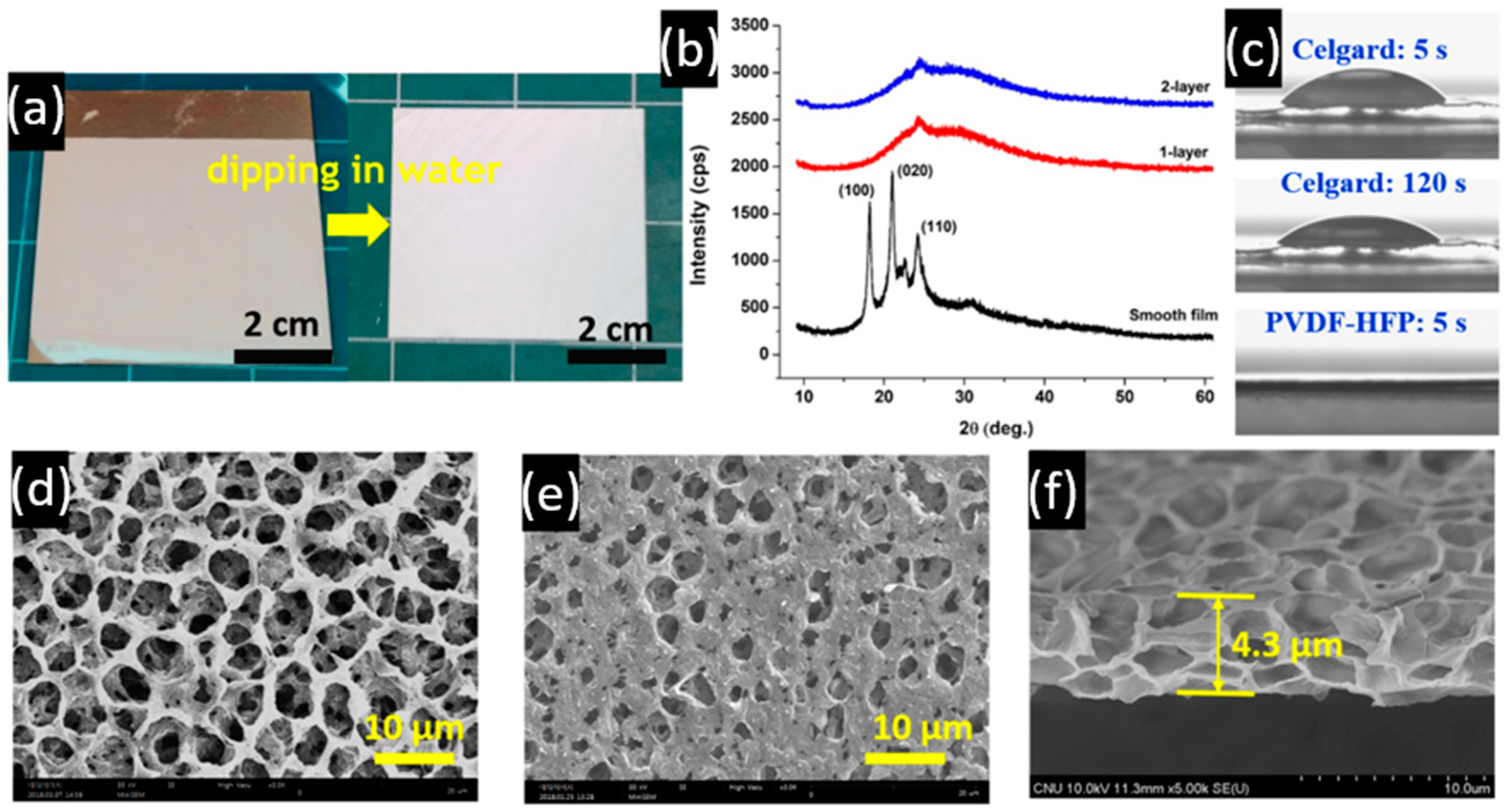 Membranes 11 00041 g001