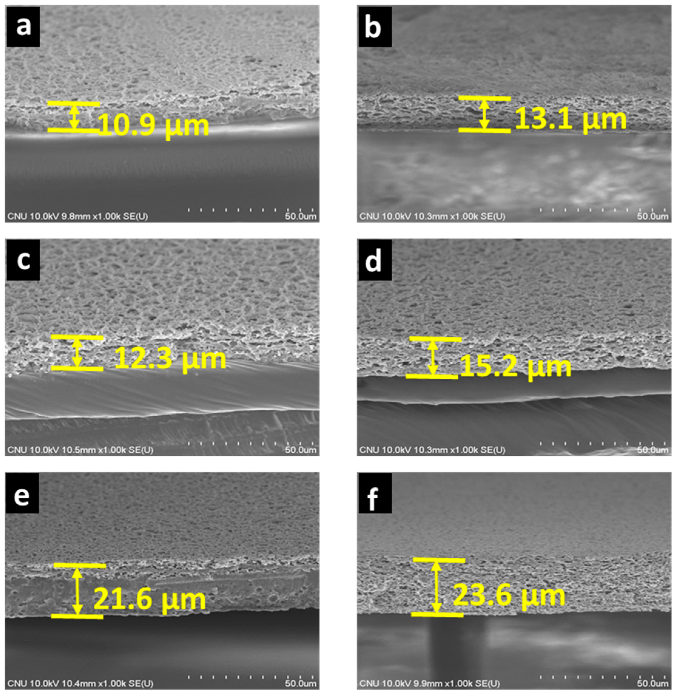 Membranes 11 00041 g003