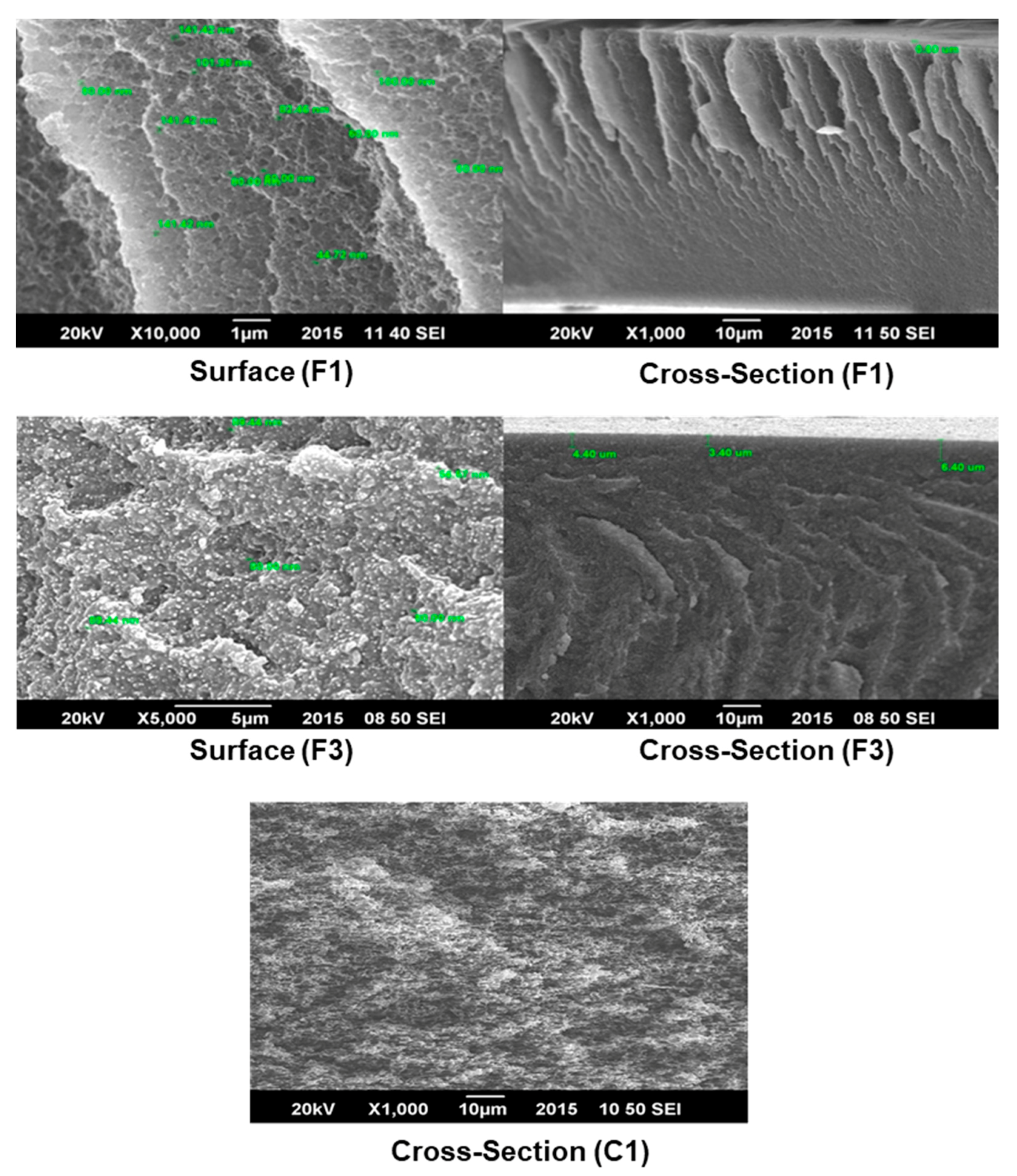 Membranes 11 00042 g002 Membranes 11 00042 g002