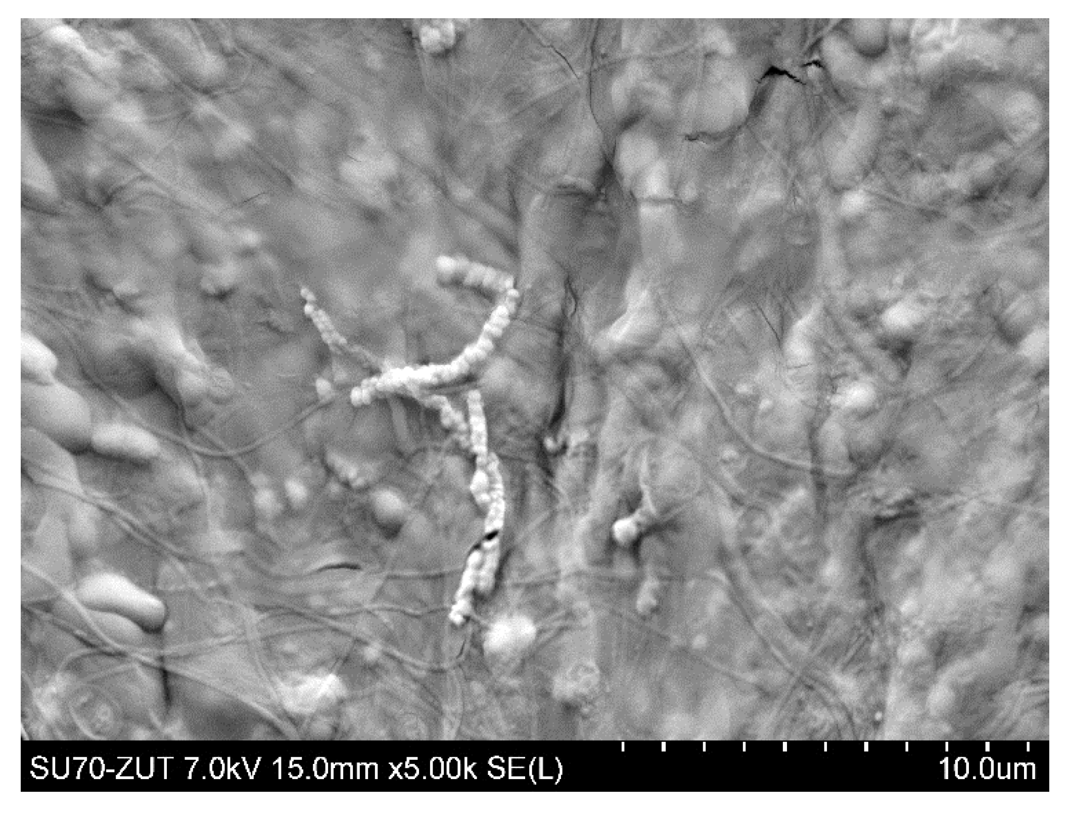 Membranes 11 00044 g006 Membranes 11 00044 g006