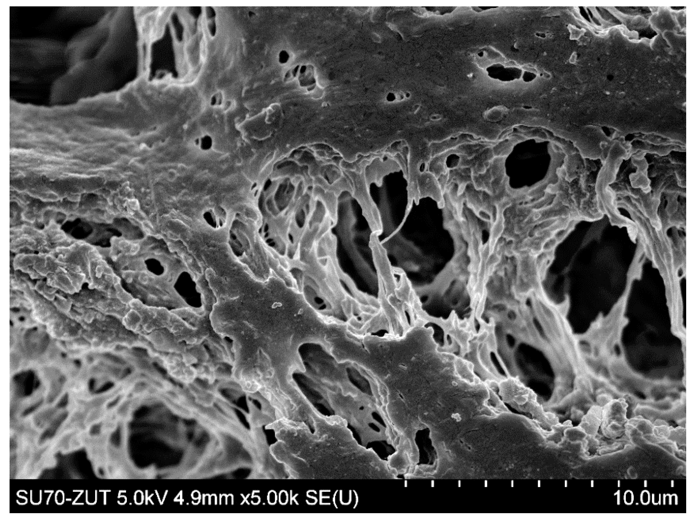 Membranes 11 00044 g011 Membranes 11 00044 g011
