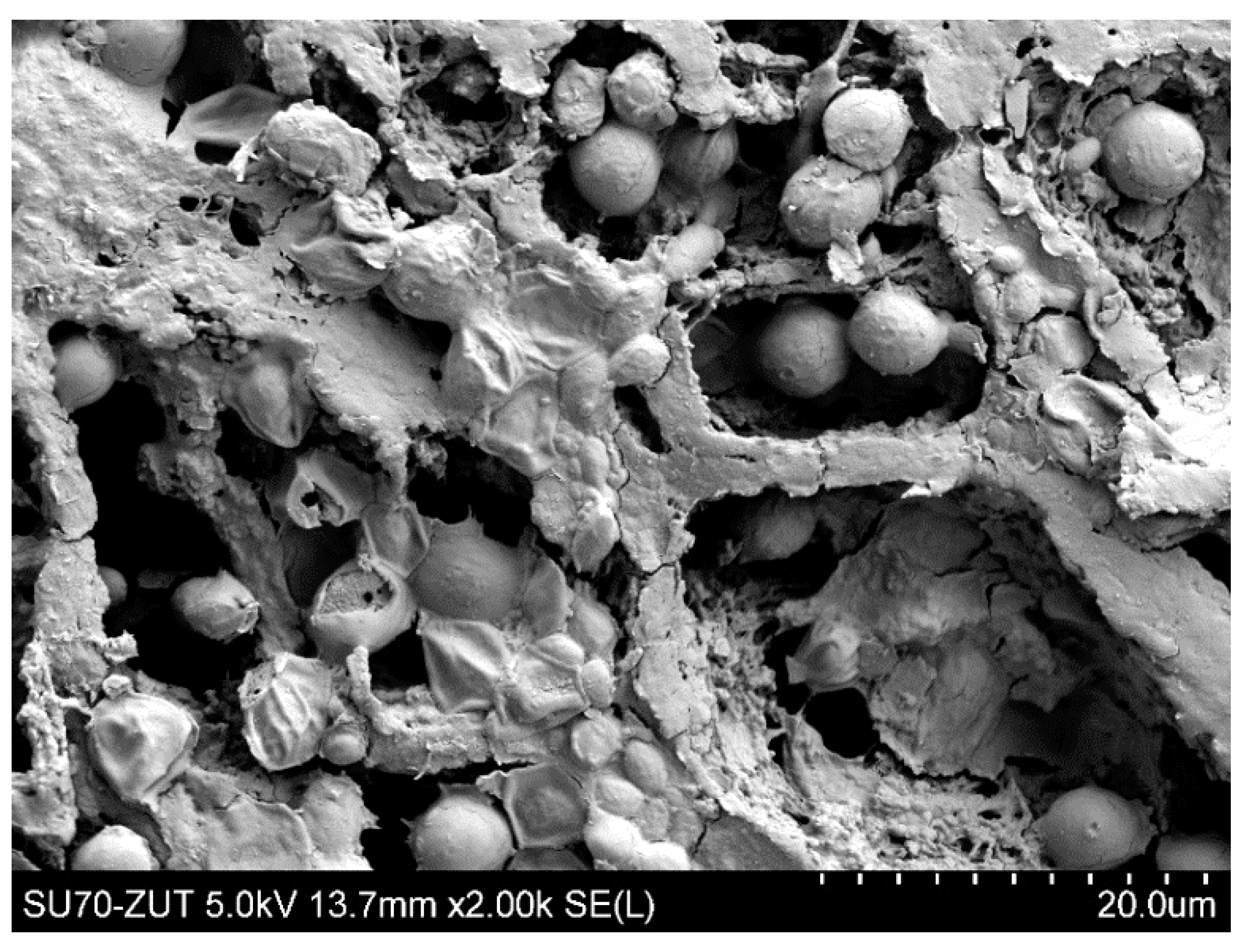 Membranes 11 00044 g019 Membranes 11 00044 g019