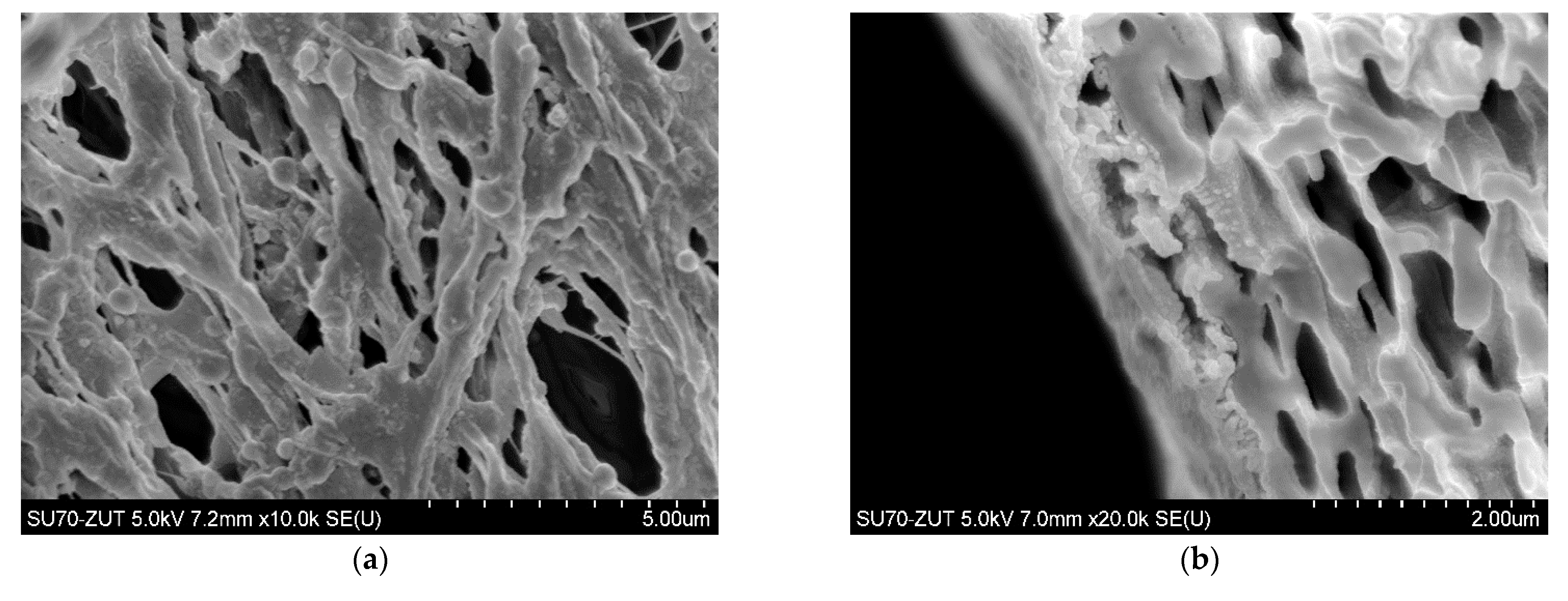 Membranes 11 00044 g021 Membranes 11 00044 g021