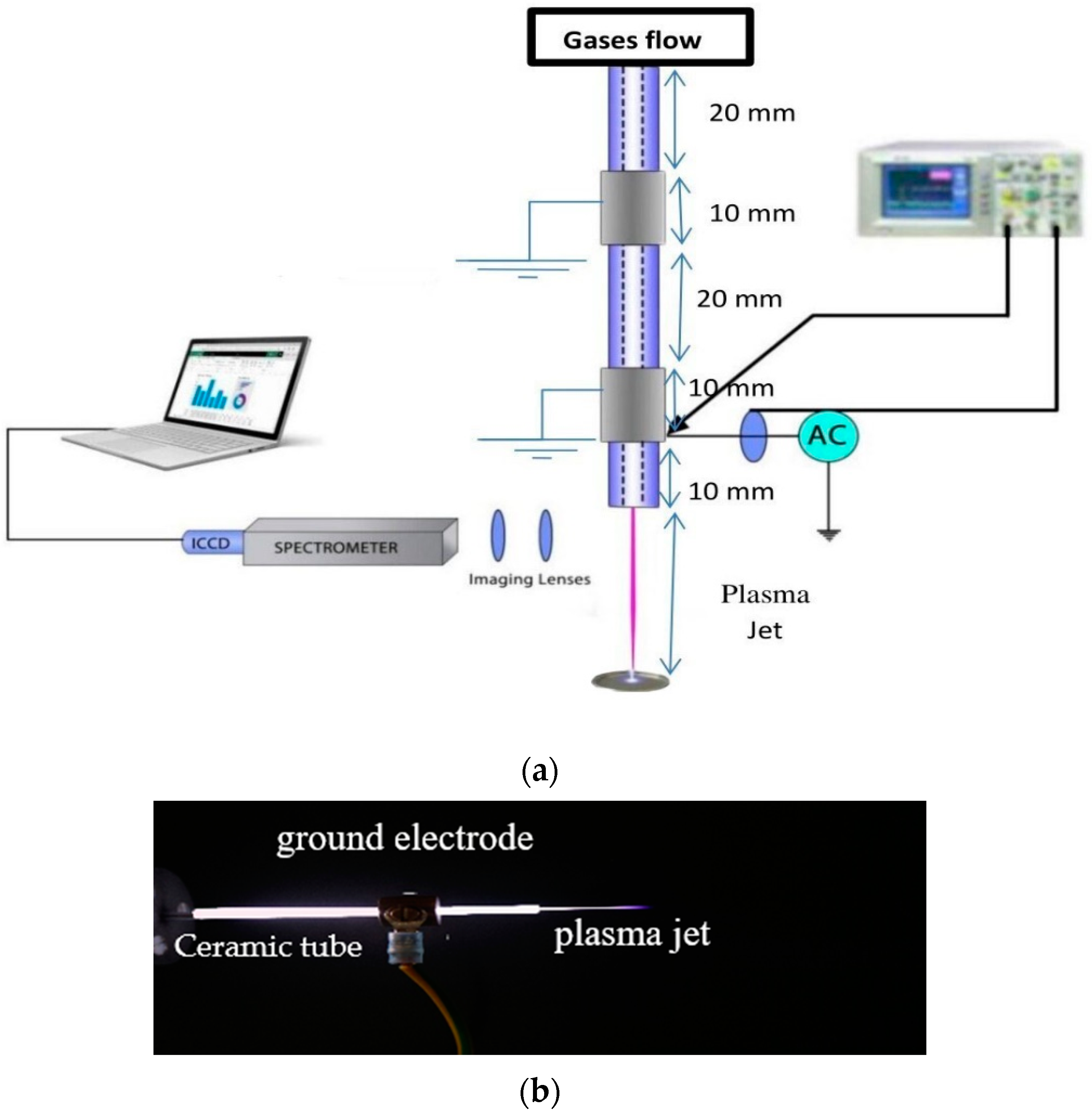 Membranes Free FullText Inactivation of E. coli Using Atmospheric Pressure Plasma Jet with