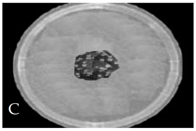 Membranes 11 00046 i003