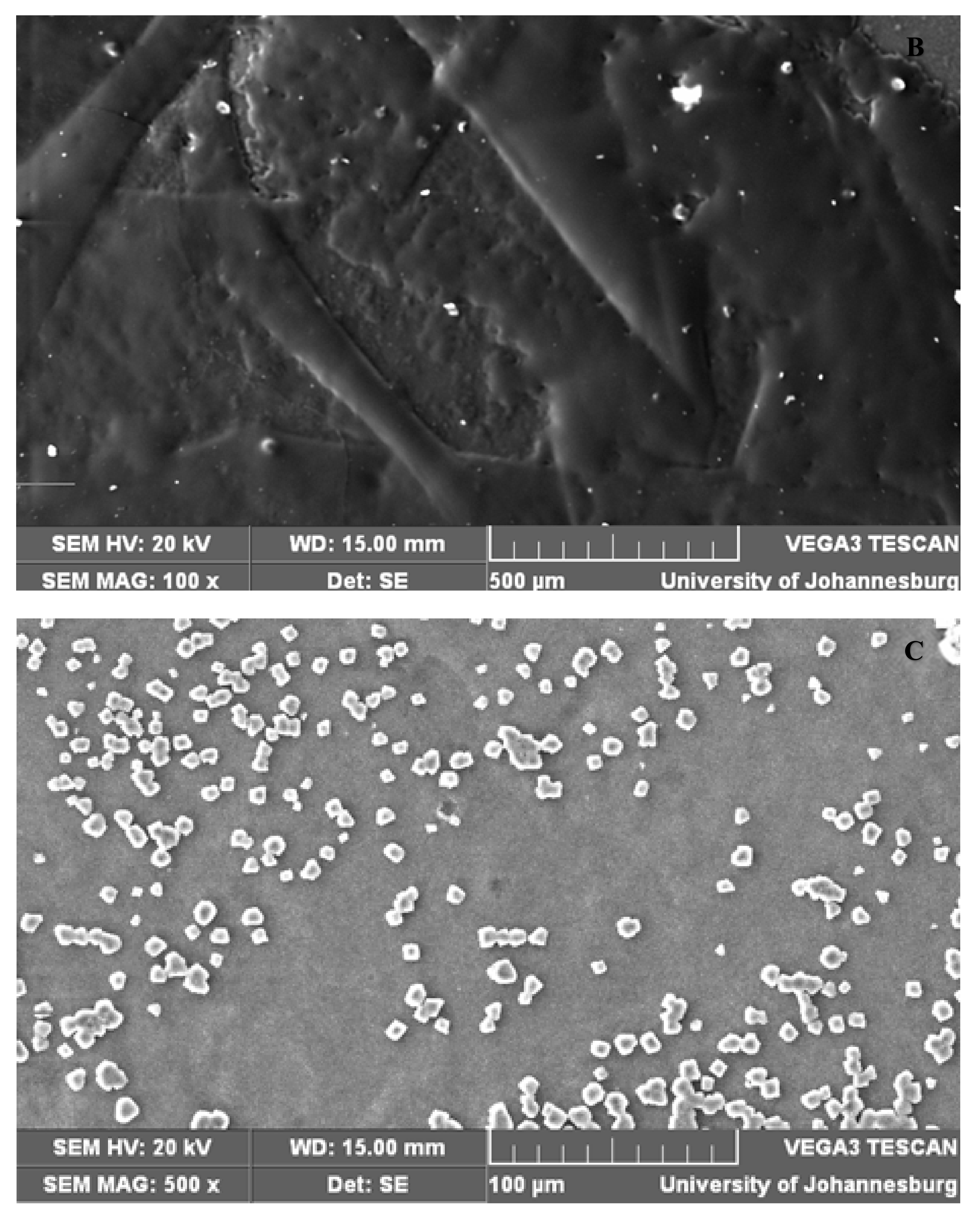 Membranes 11 00047 g009b Membranes 11 00047 g009b