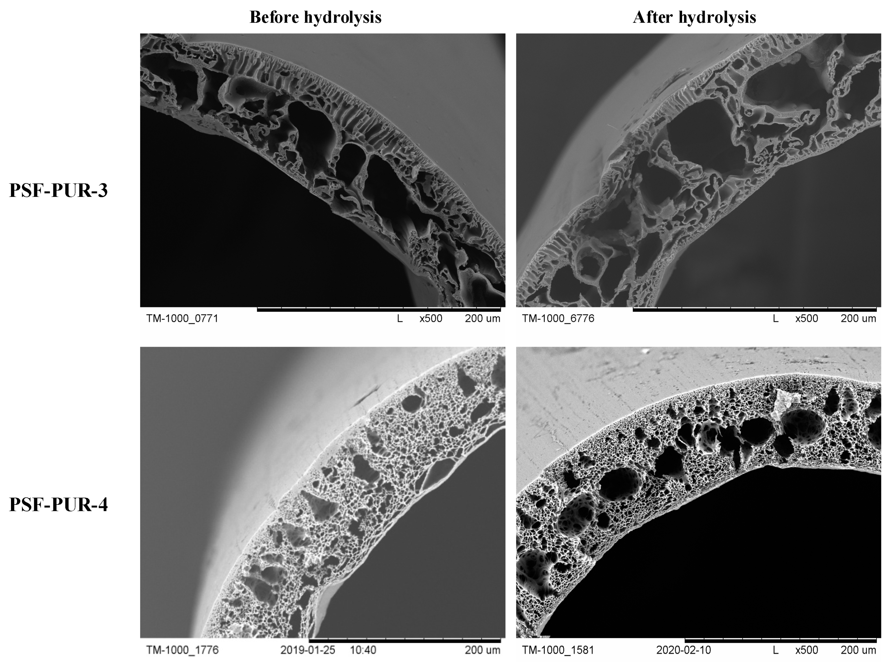 Membranes 11 00051 g007