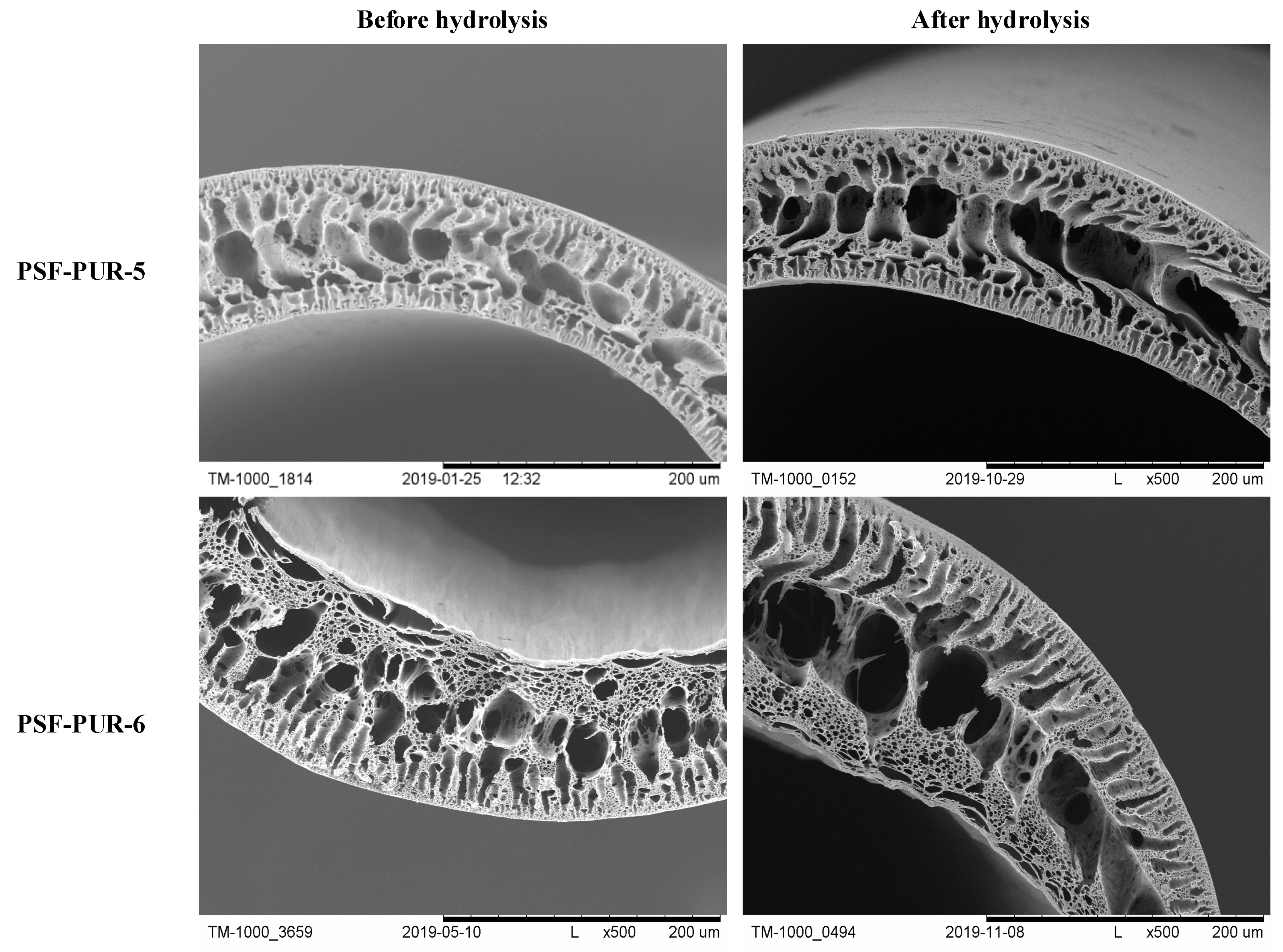Membranes 11 00051 g008