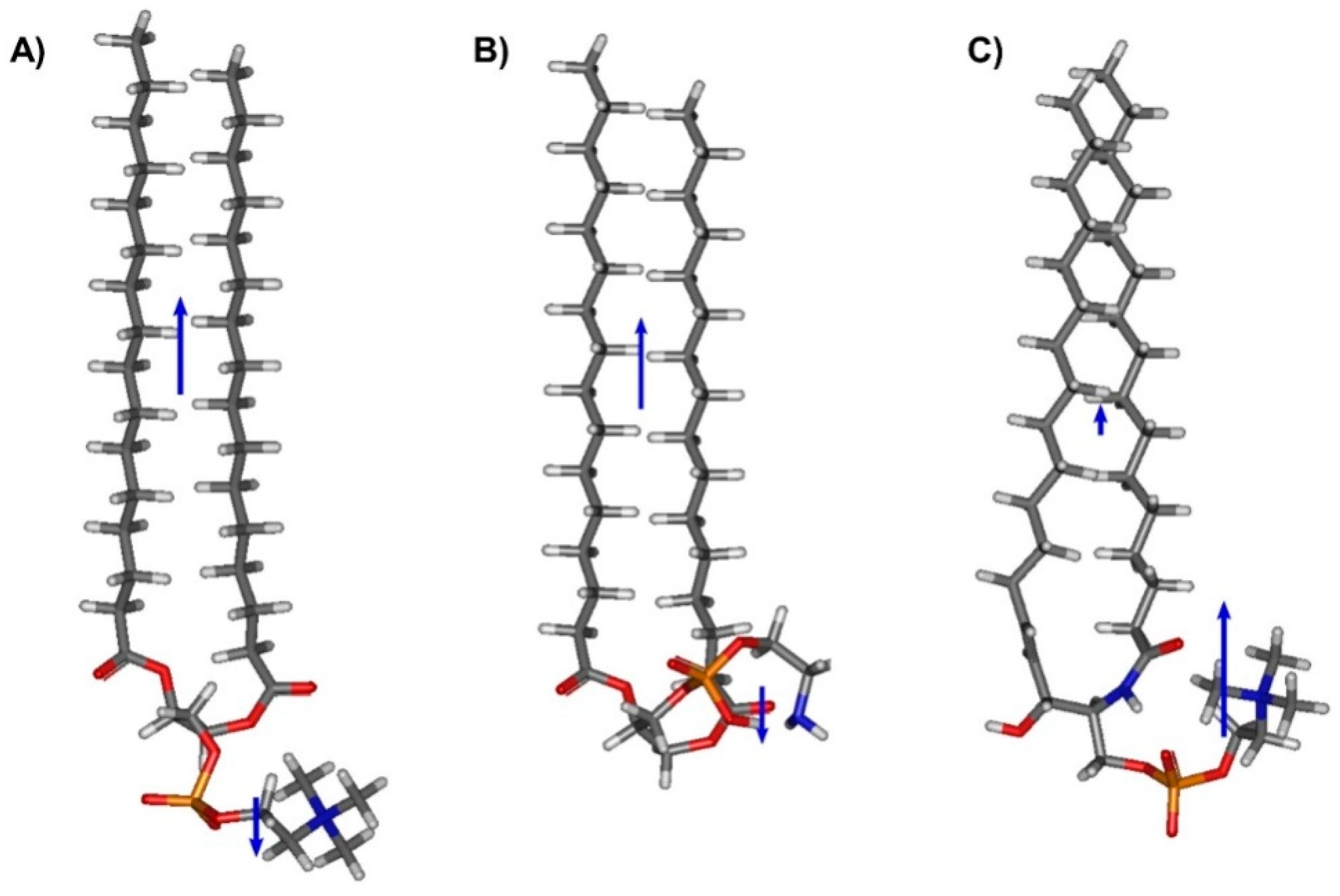Membranes 11 00053 g004 Membranes 11 00053 g004