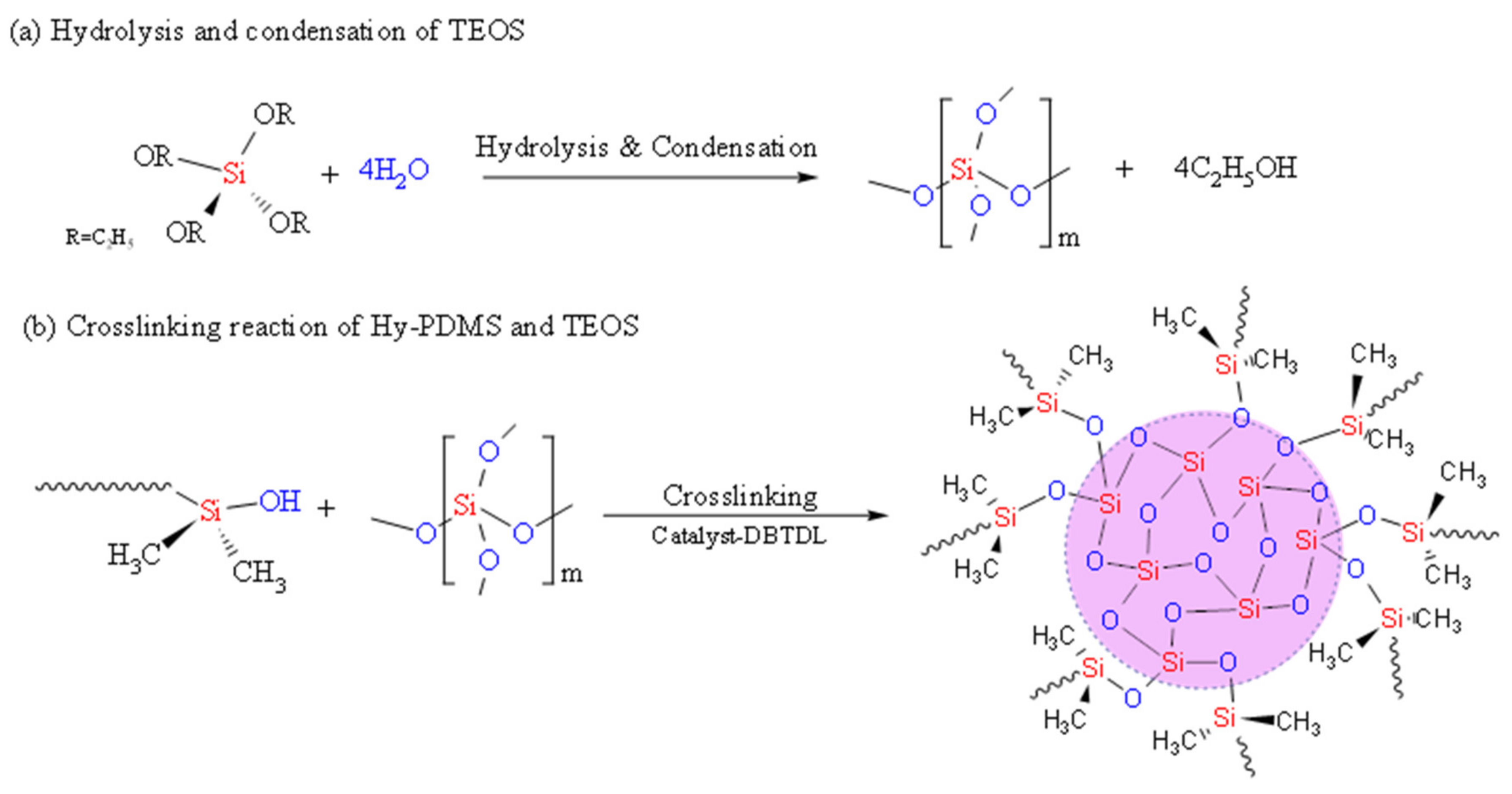 Membranes 11 00059 sch001 Membranes 11 00059 sch001